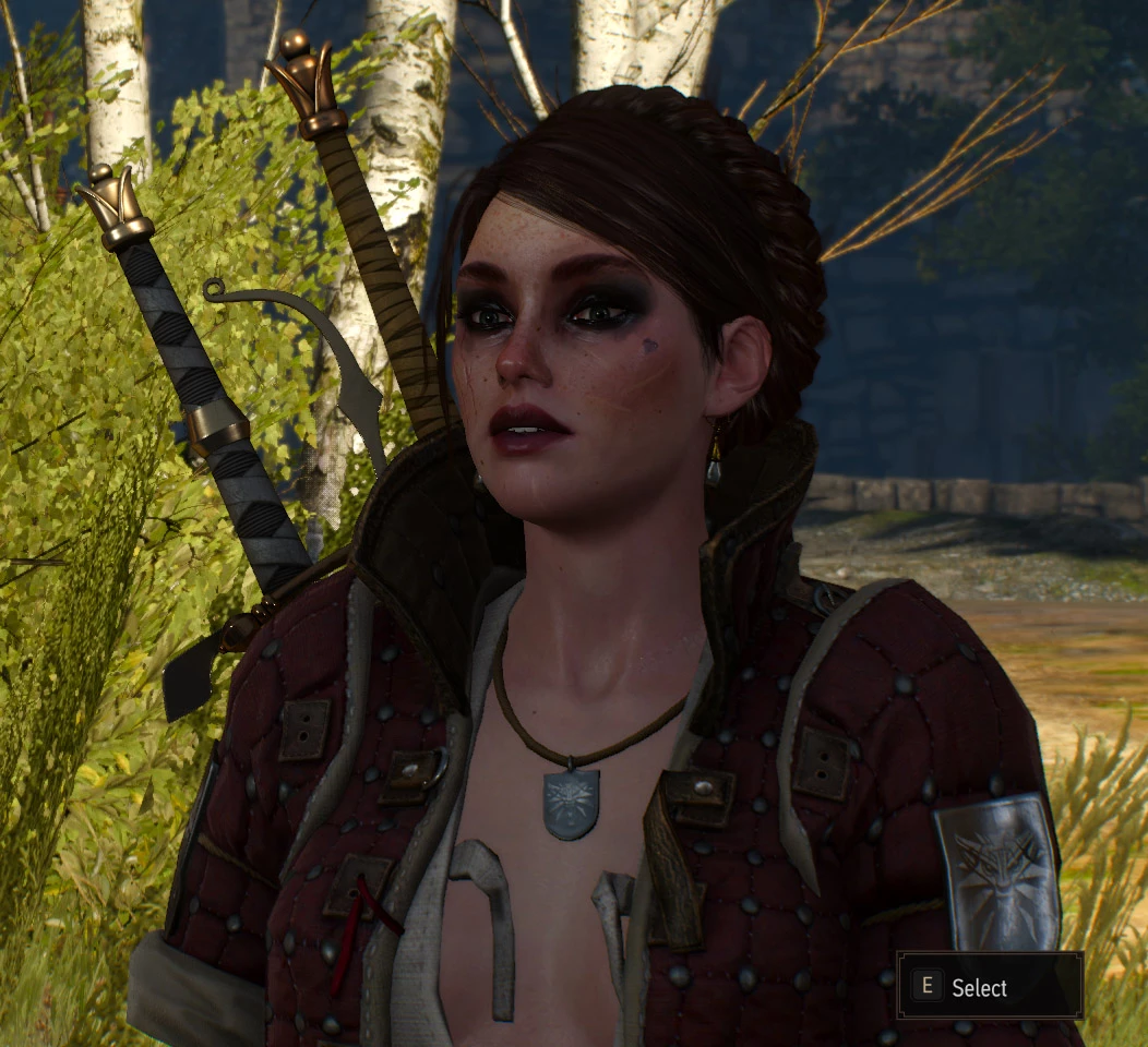 Witcher 3 ves Witcher 3 ves