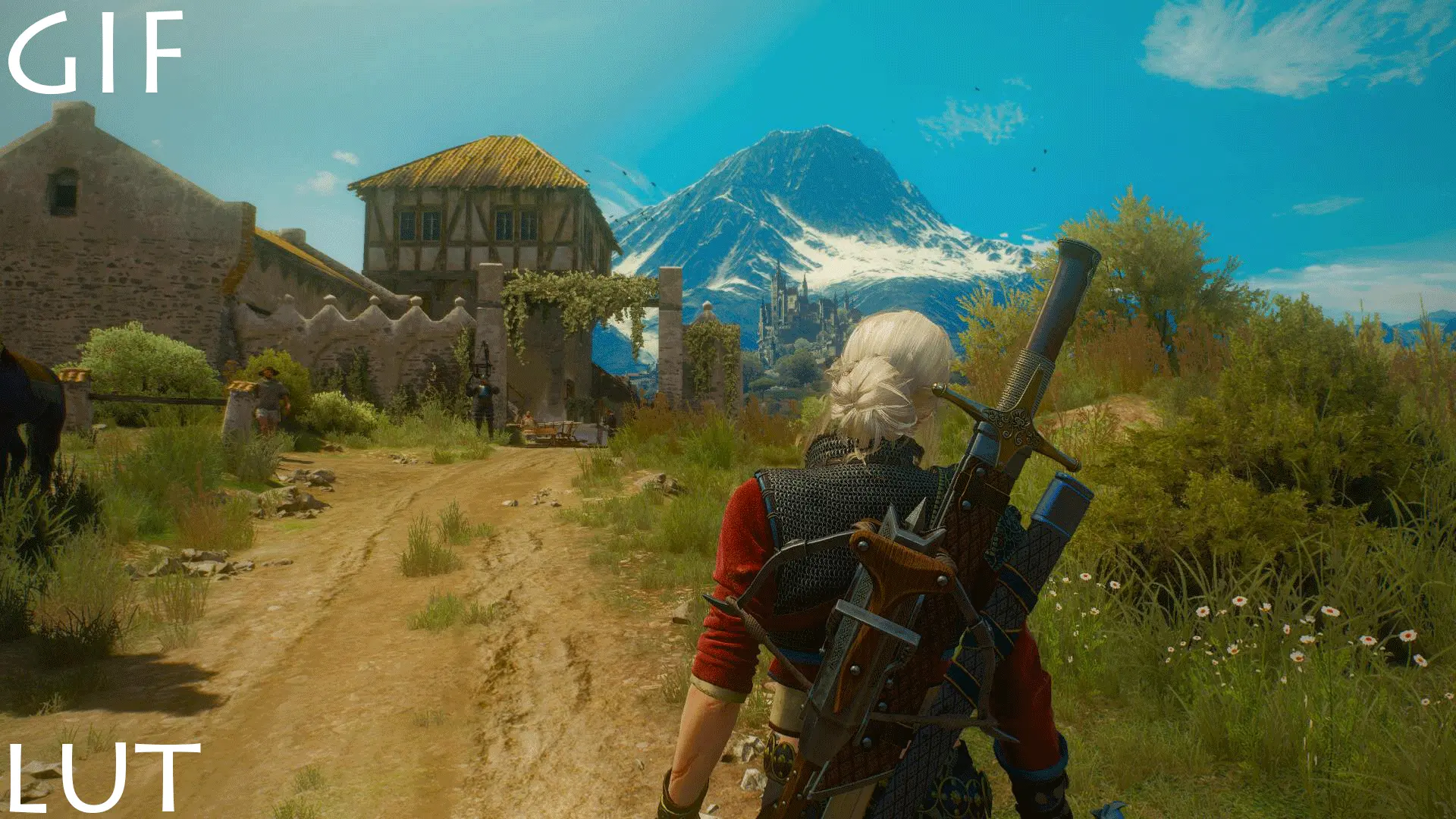 The Witcher Gameplay Gif
