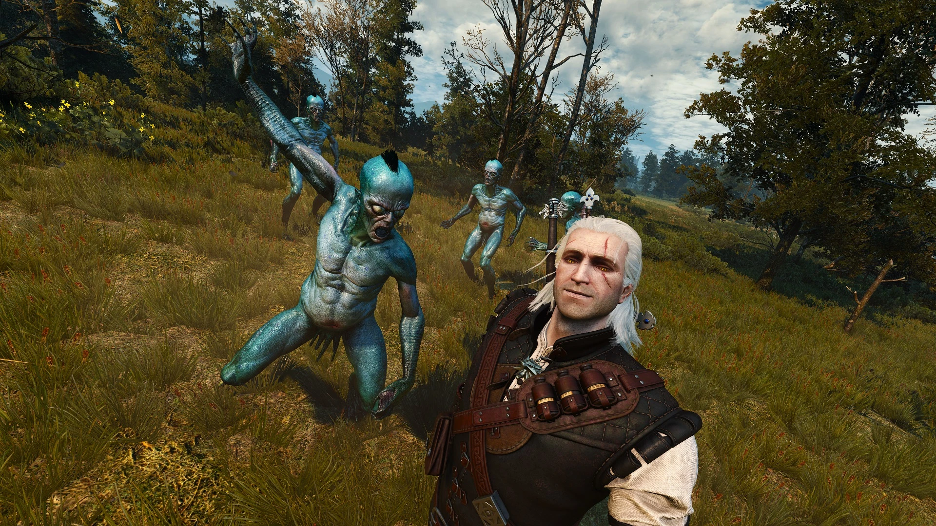 The witcher monsters 3 silver фото 88