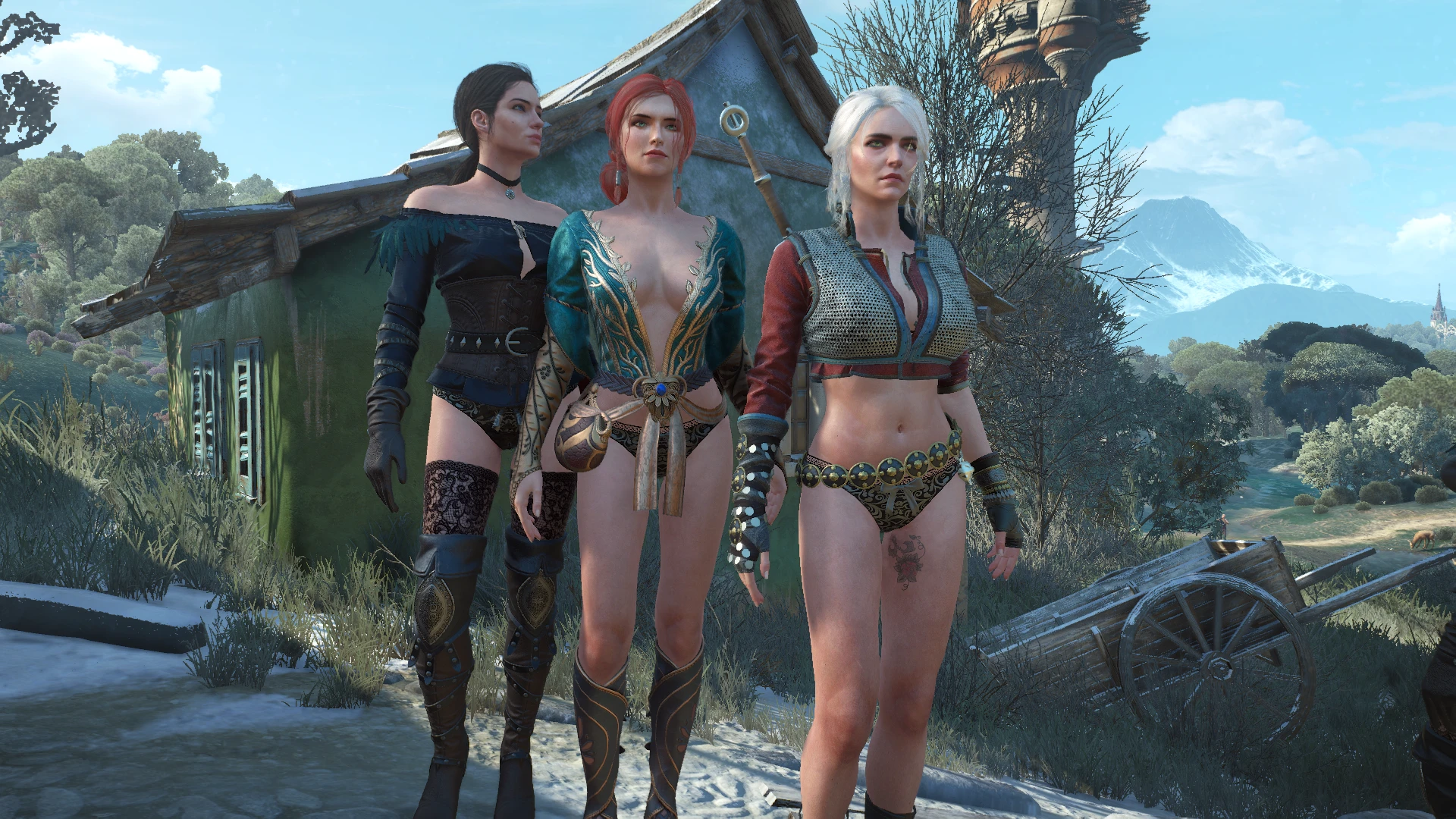 Alternative Look For Ciri Yennefer And Triss At The.