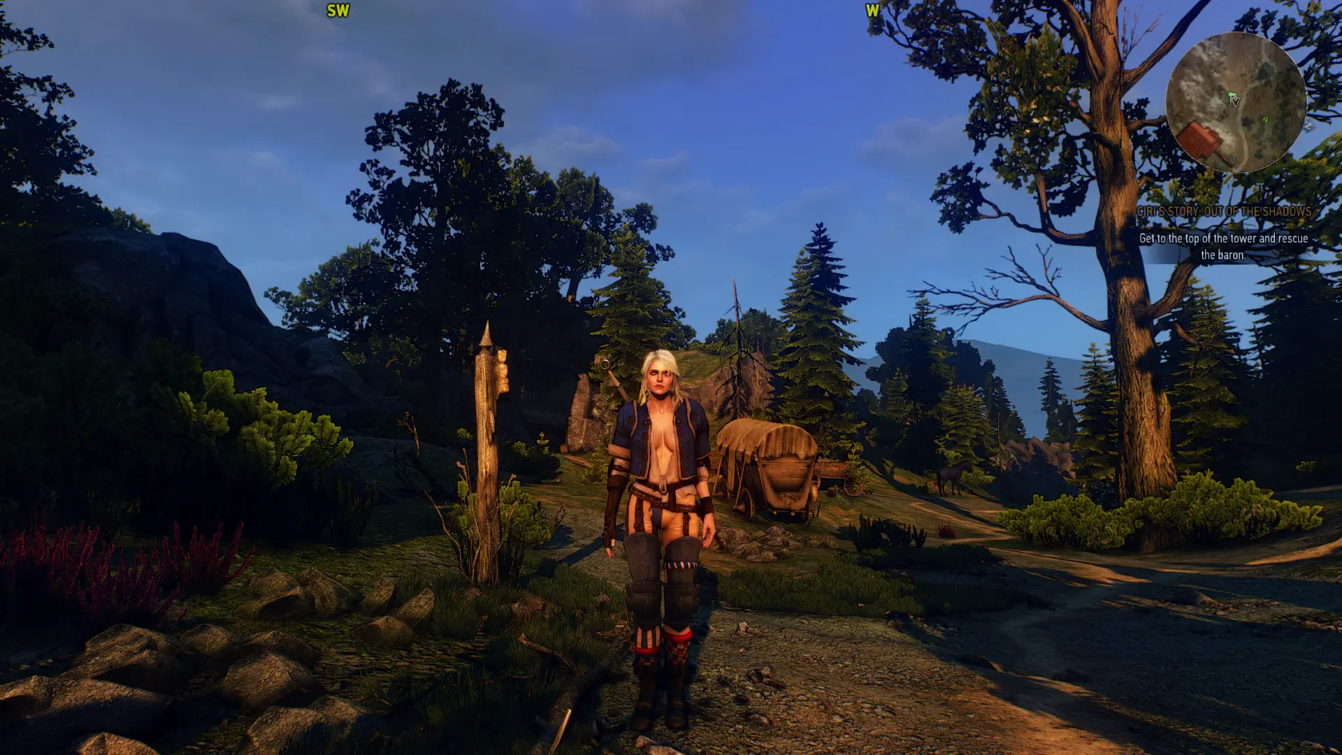 Ves clothes for Ciri at The Witcher 3 Nexus - Mods and community