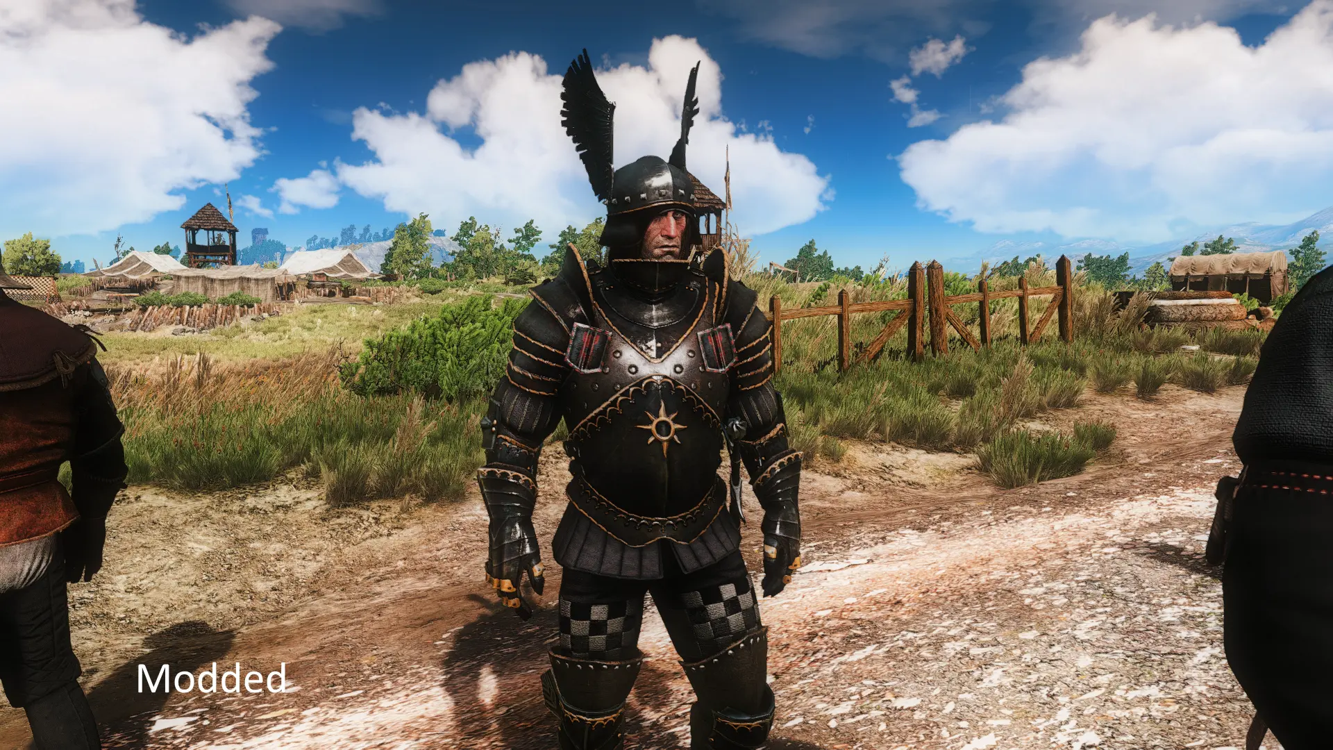 The witcher 3 nilfgaardian armor set фото 71