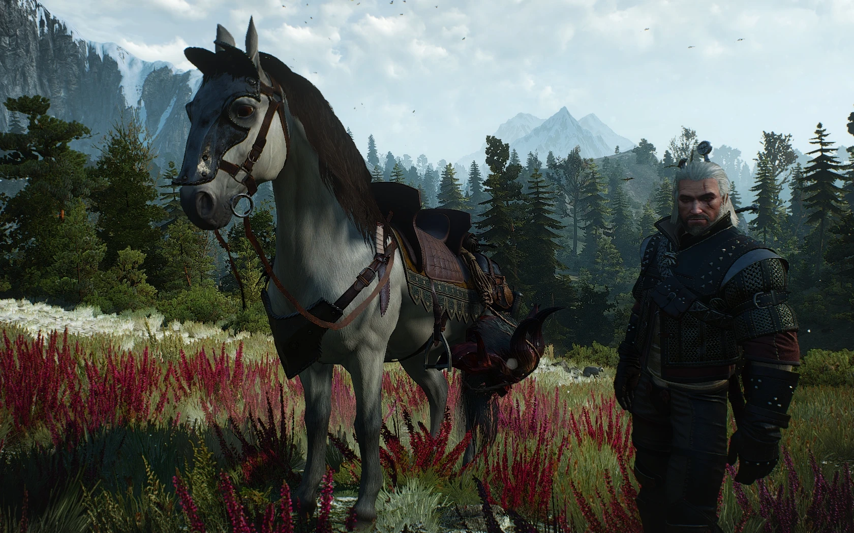 The witcher 3 geralt horse фото 57