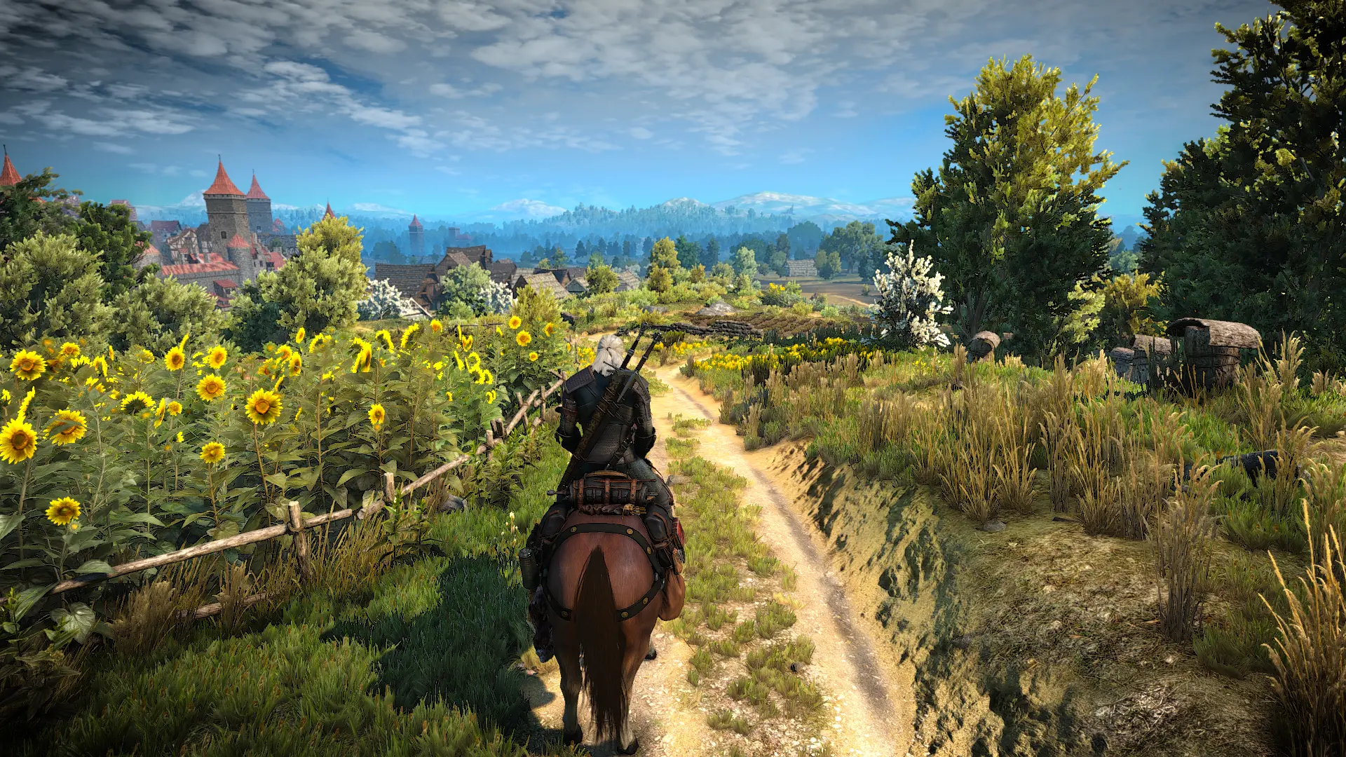 The witcher 3 nexus mods and community фото 82