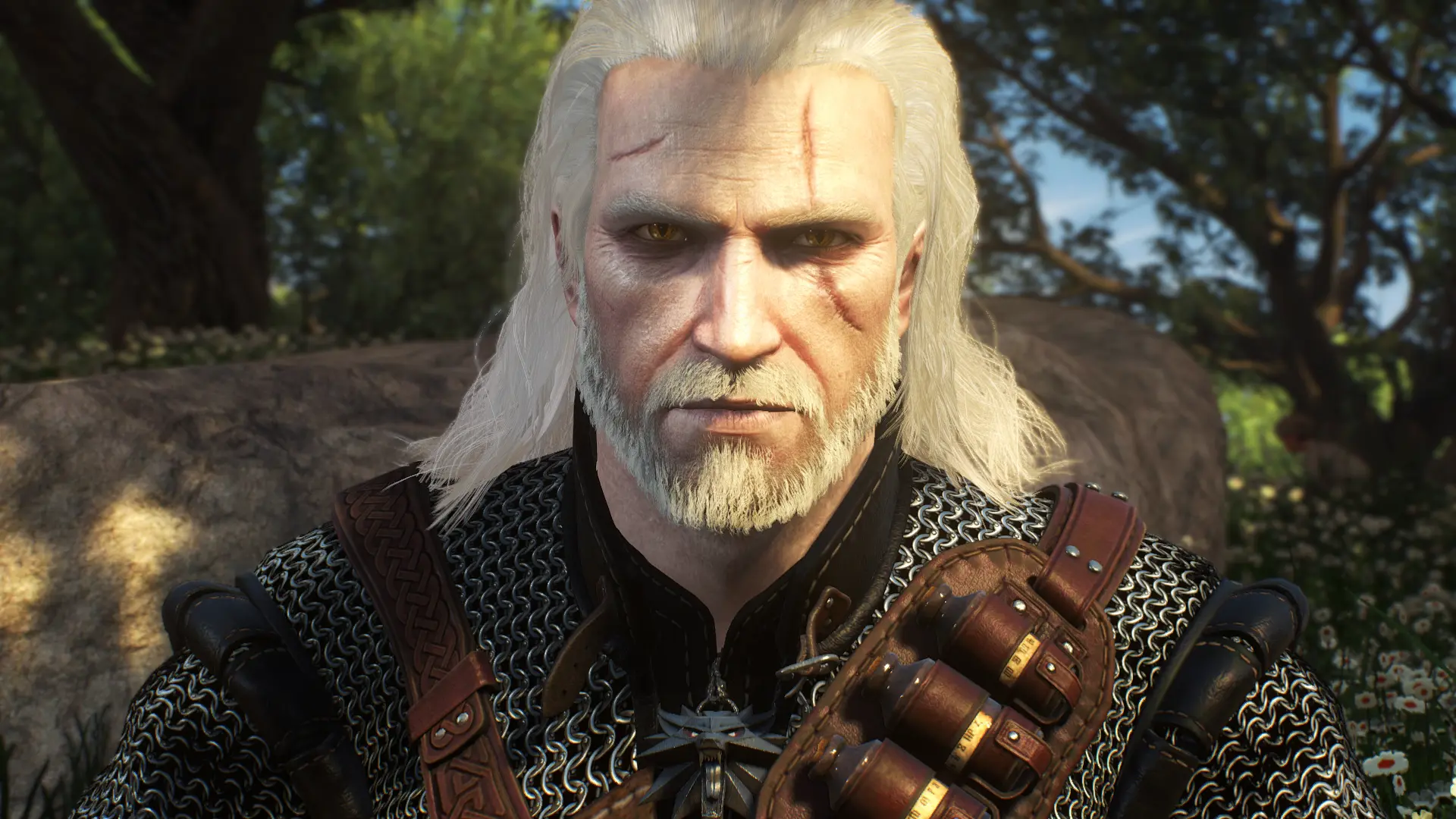 The witcher 3 мод глаза фото 31