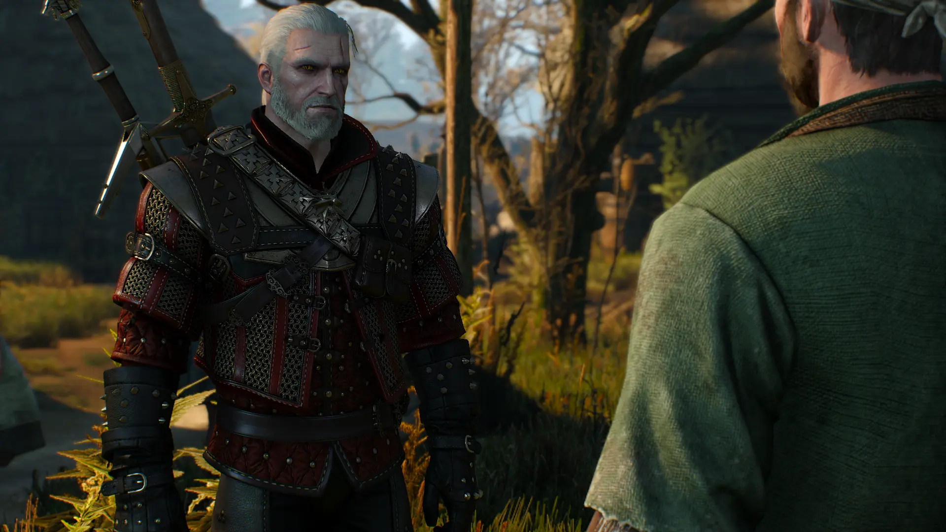 The witcher 3 lore friendly mods фото 64