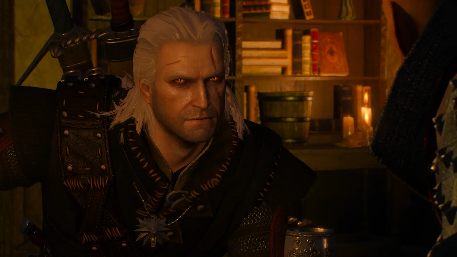 The Butcher of Blaviken Lore-Friendly Geralt at The Witcher 3 Nexus ...