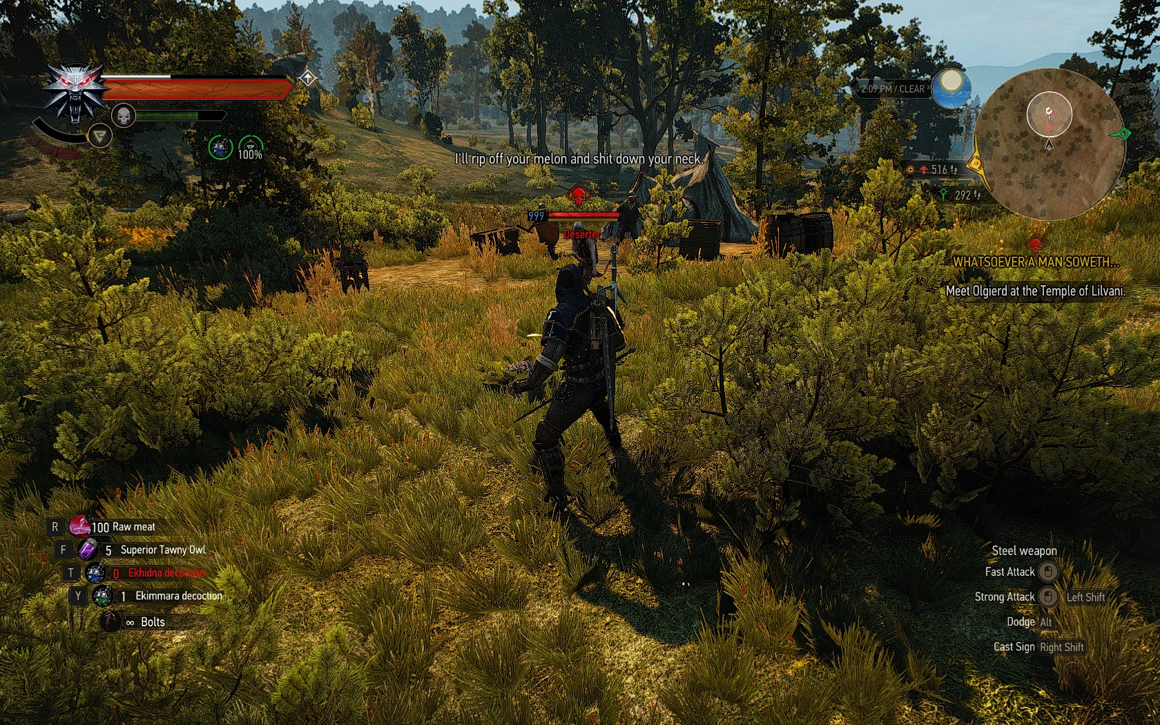 witcher 3 new game plus