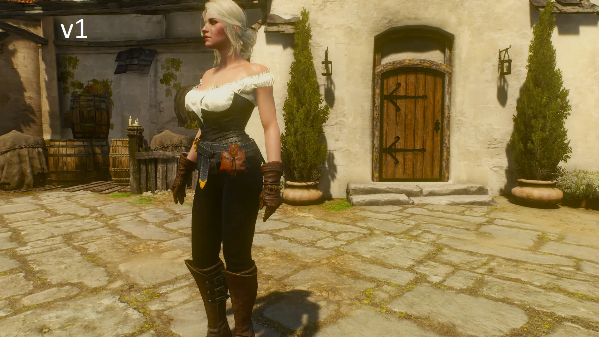 Dlc 14 the witcher 3 alternative look for ciri новым костюмом для цири фото 89