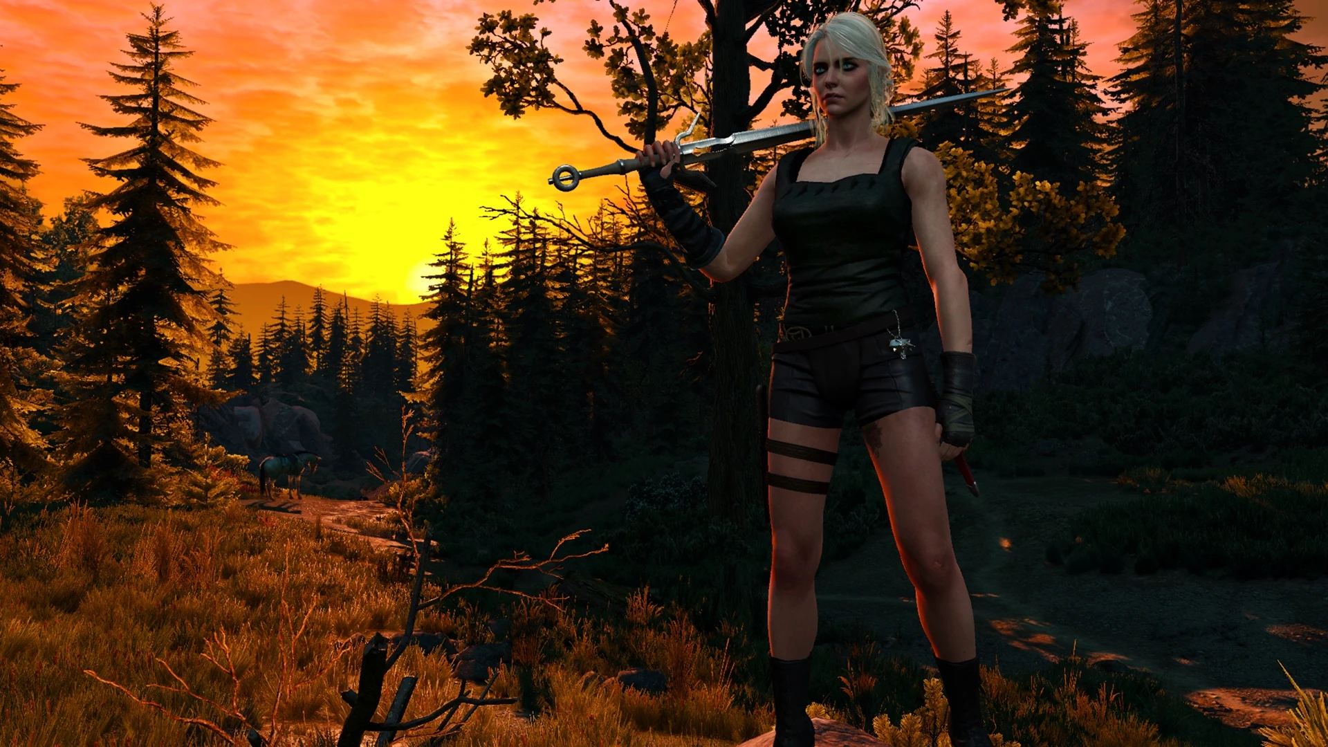 New clothes for Ciri at The Witcher 3 Nexus - Mods and community.