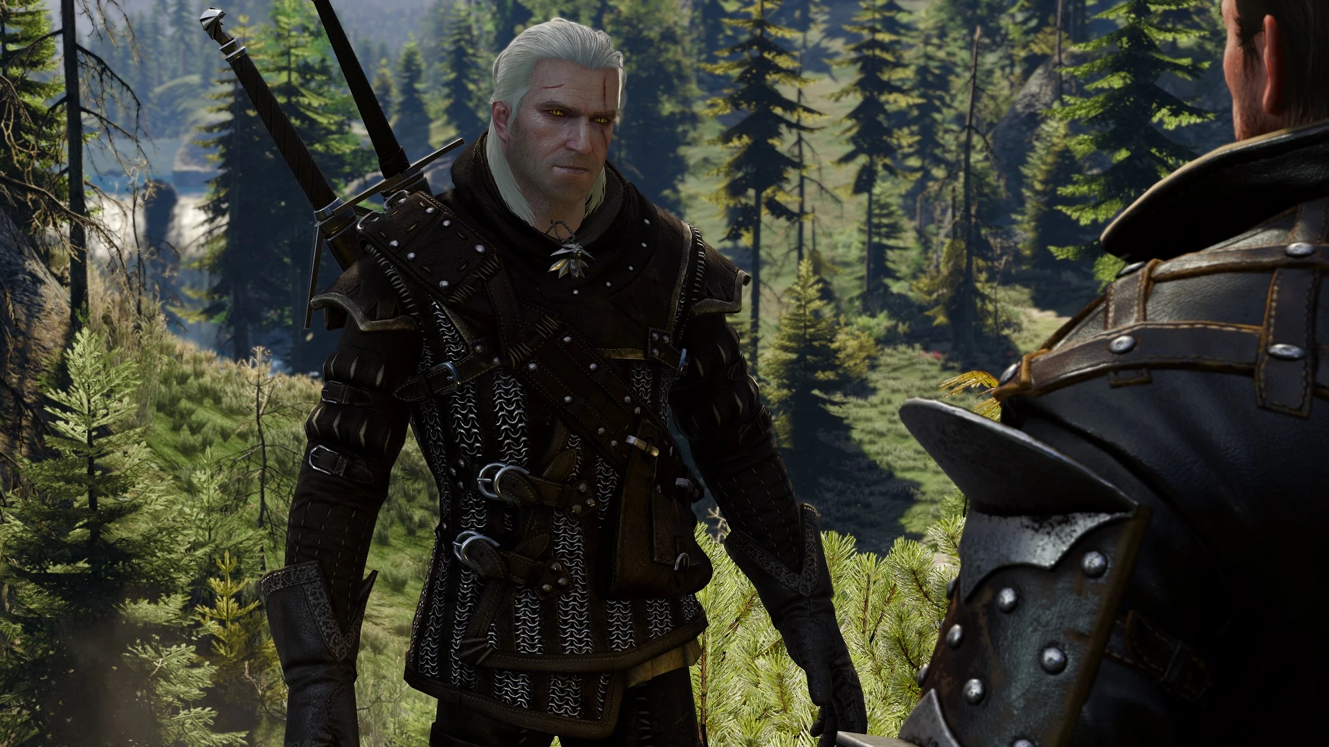 The witcher 3 with geralt doppler фото 60