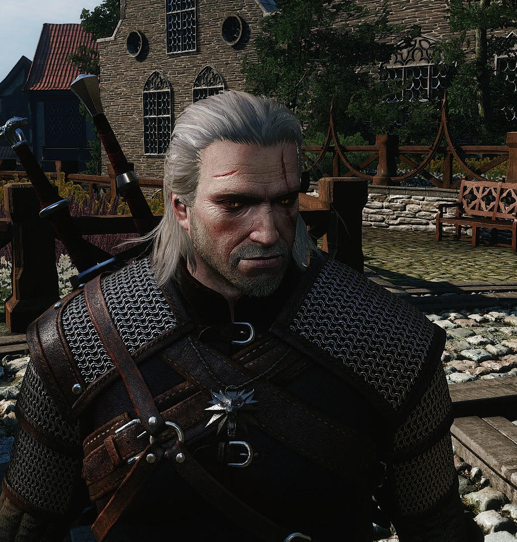 The witcher 3 with geralt doppler фото 33
