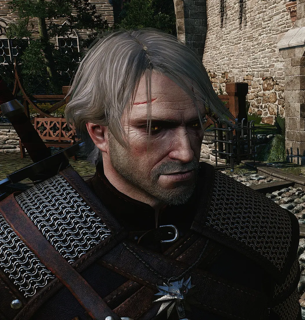 Geralt Grey Hair at The Witcher 3 Nexus - Mods and community