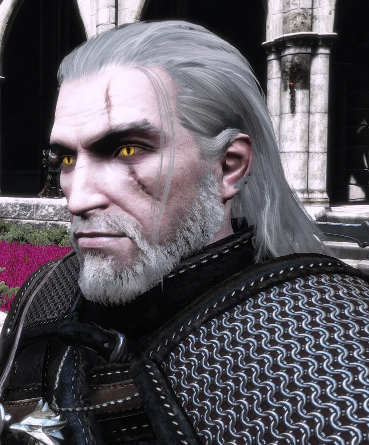 Geralt Cinematic Hair at The Witcher 3 Nexus - Mods and 