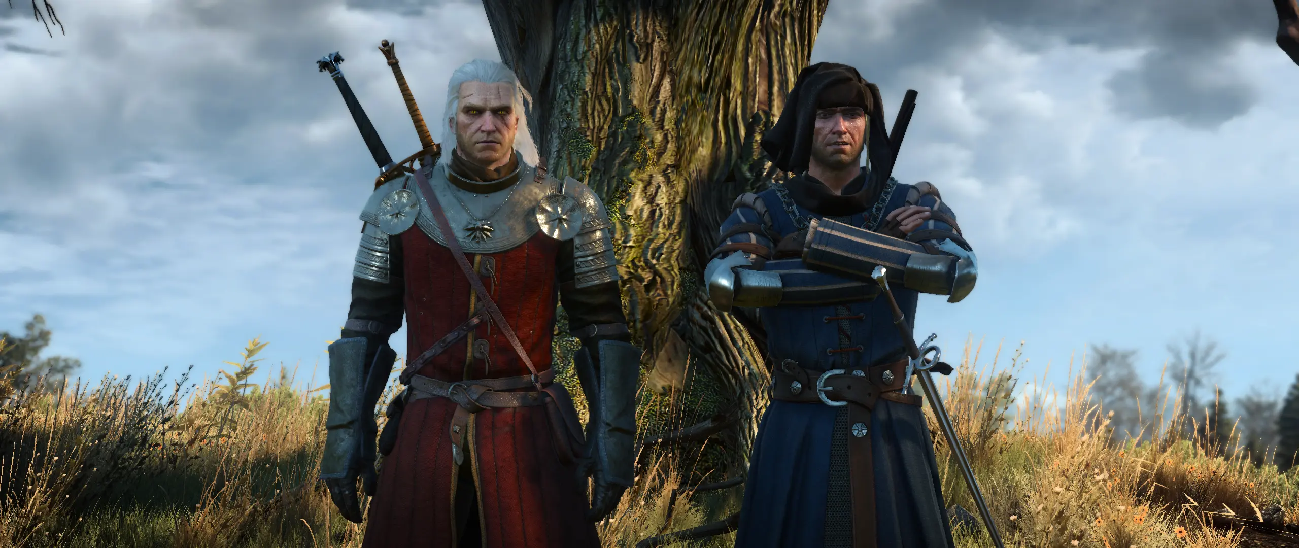 The witcher 3 face mod фото 42