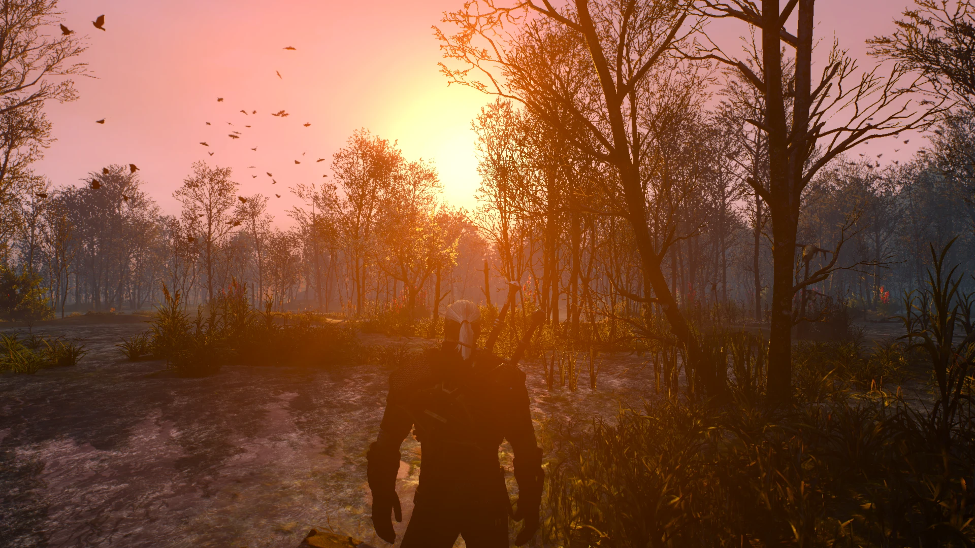 WO Lighting Everywhere at The Witcher 3 Nexus - Mods and community