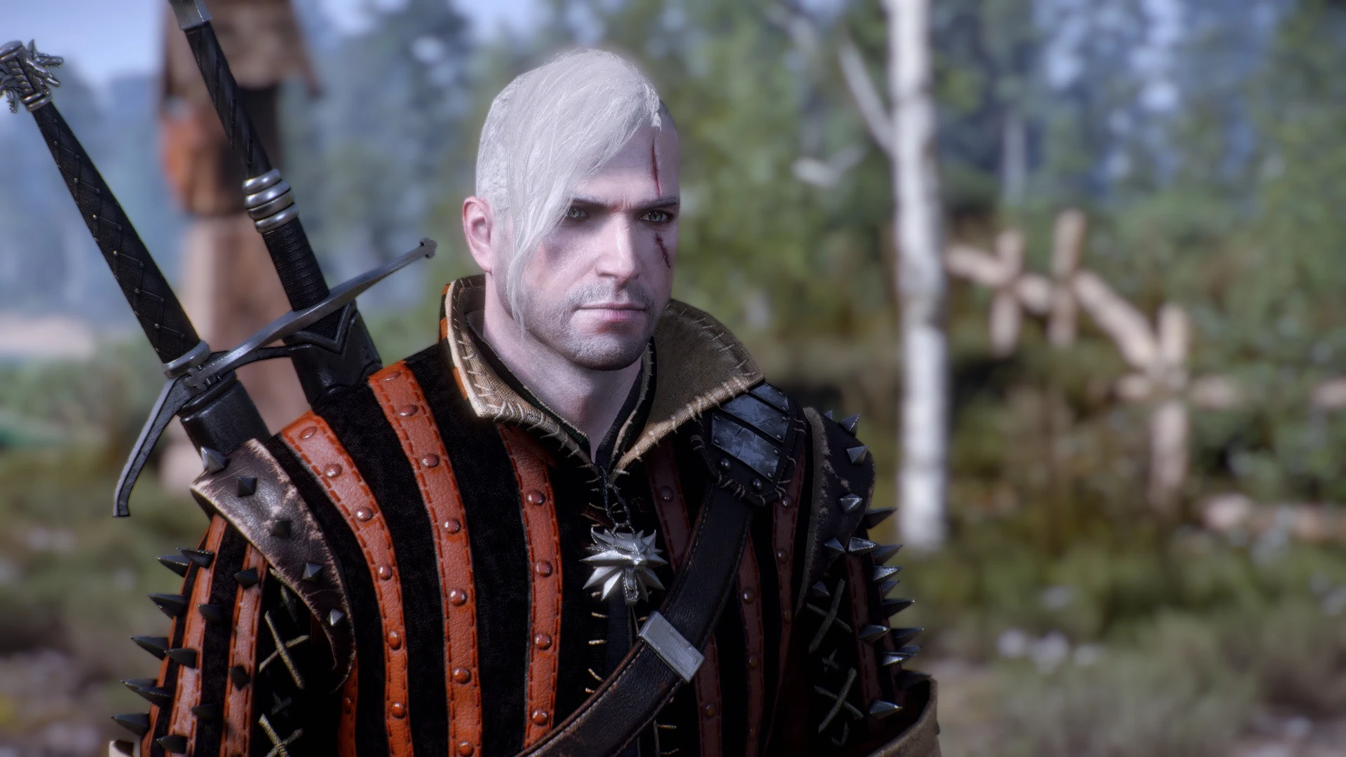 witcher 3 hairstyles