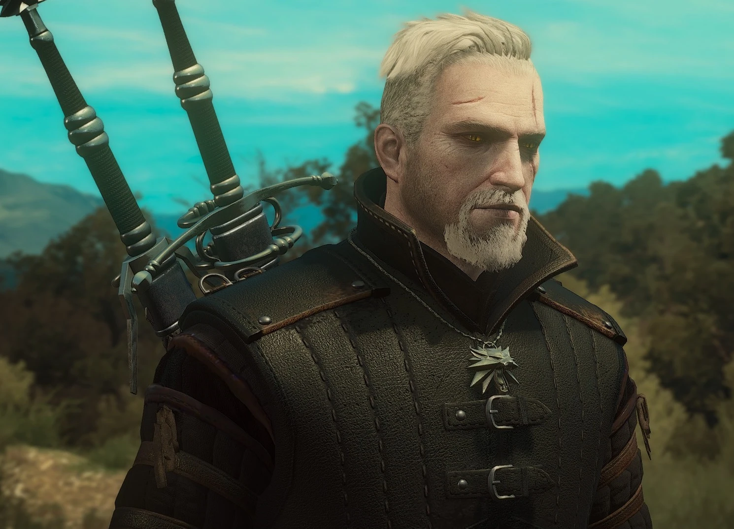 Stylish Hairstyles for Geralt at The Witcher 3 Nexus ...