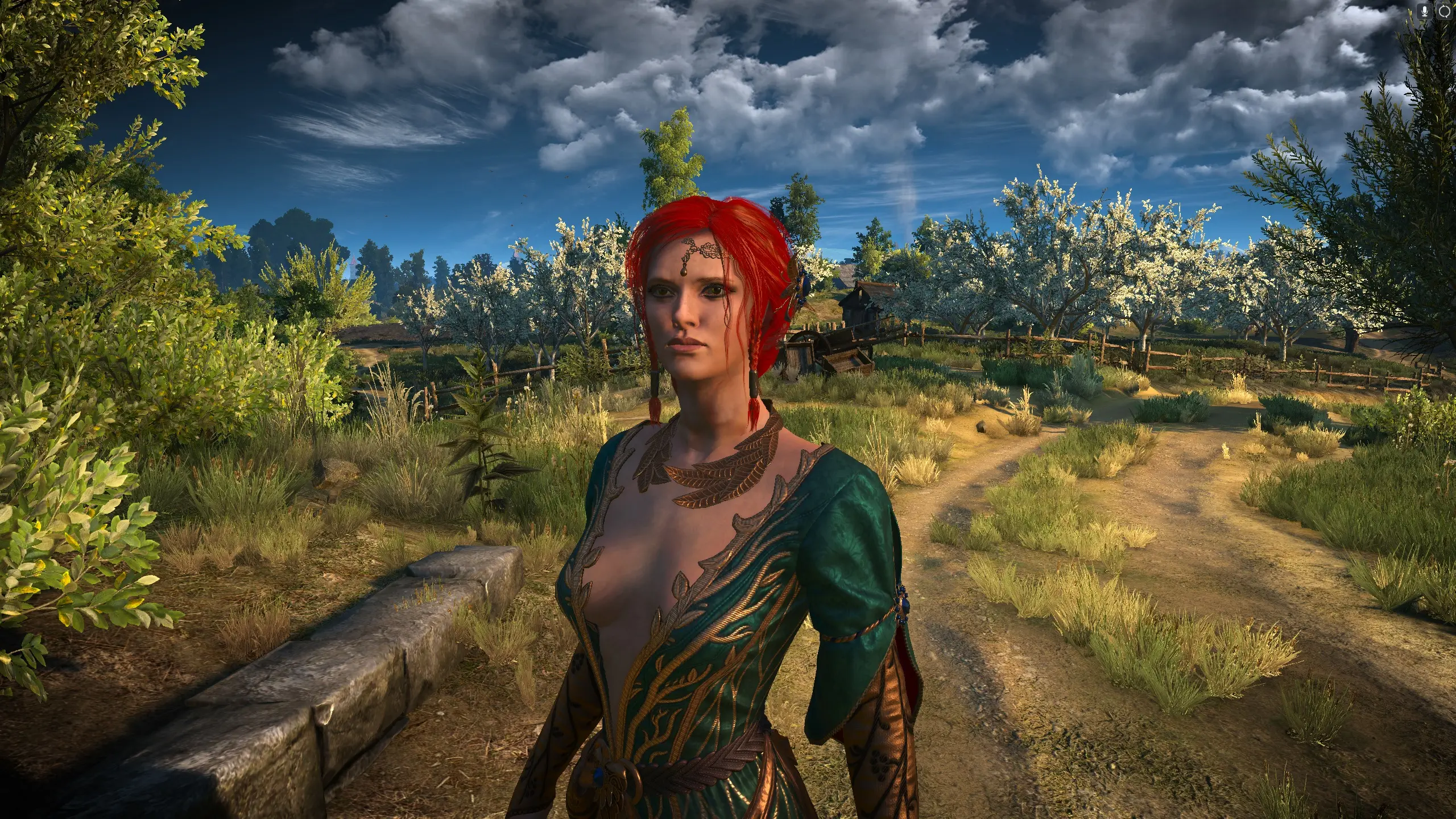 The witcher 3 mods iris фото 58