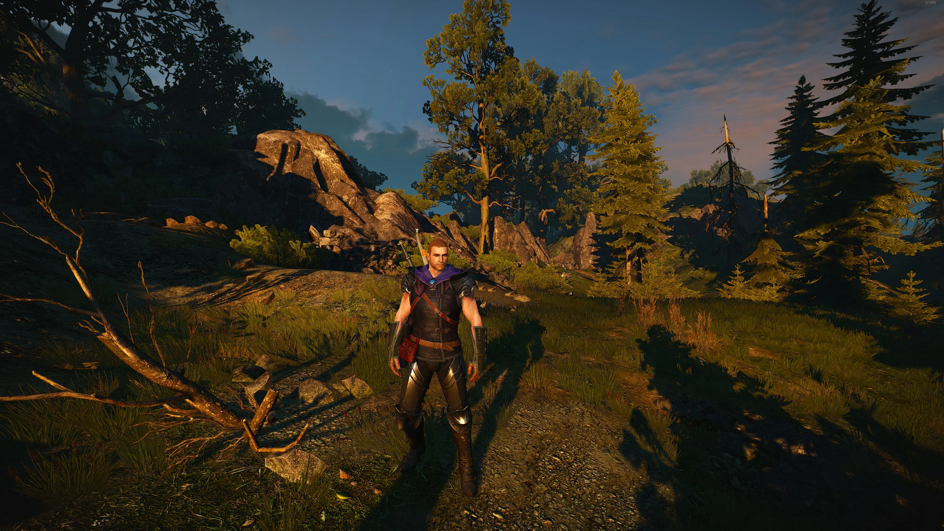 New Hairstyle For Geralt - Not Lore Friendly At The Witcher 3 Nexus 