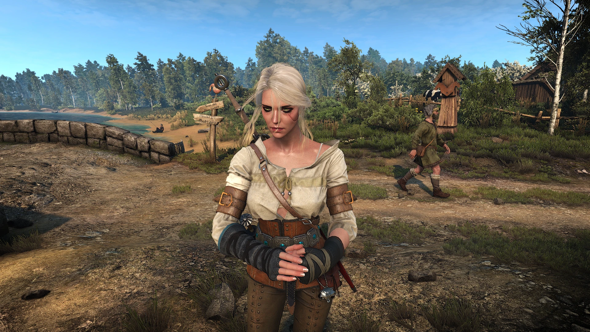 The witcher 3 alternative look for ciri фото 8