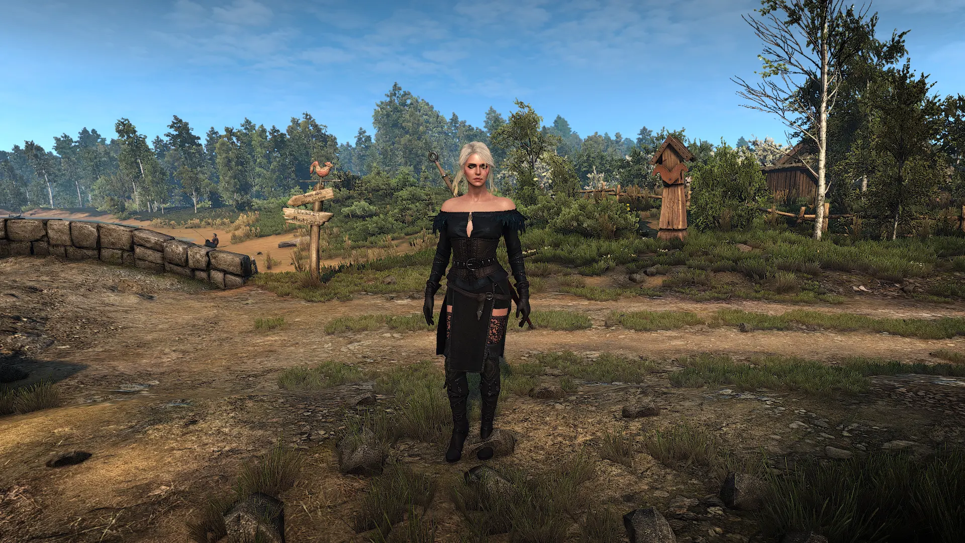 The witcher 3 моды