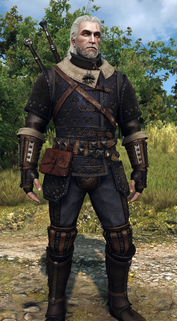 High Quality Textures For Feline Armours At The Witcher 3 Nexus - Mods 