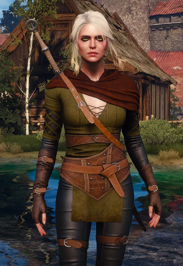 Witcher 3 Ciri Sex Telegraph