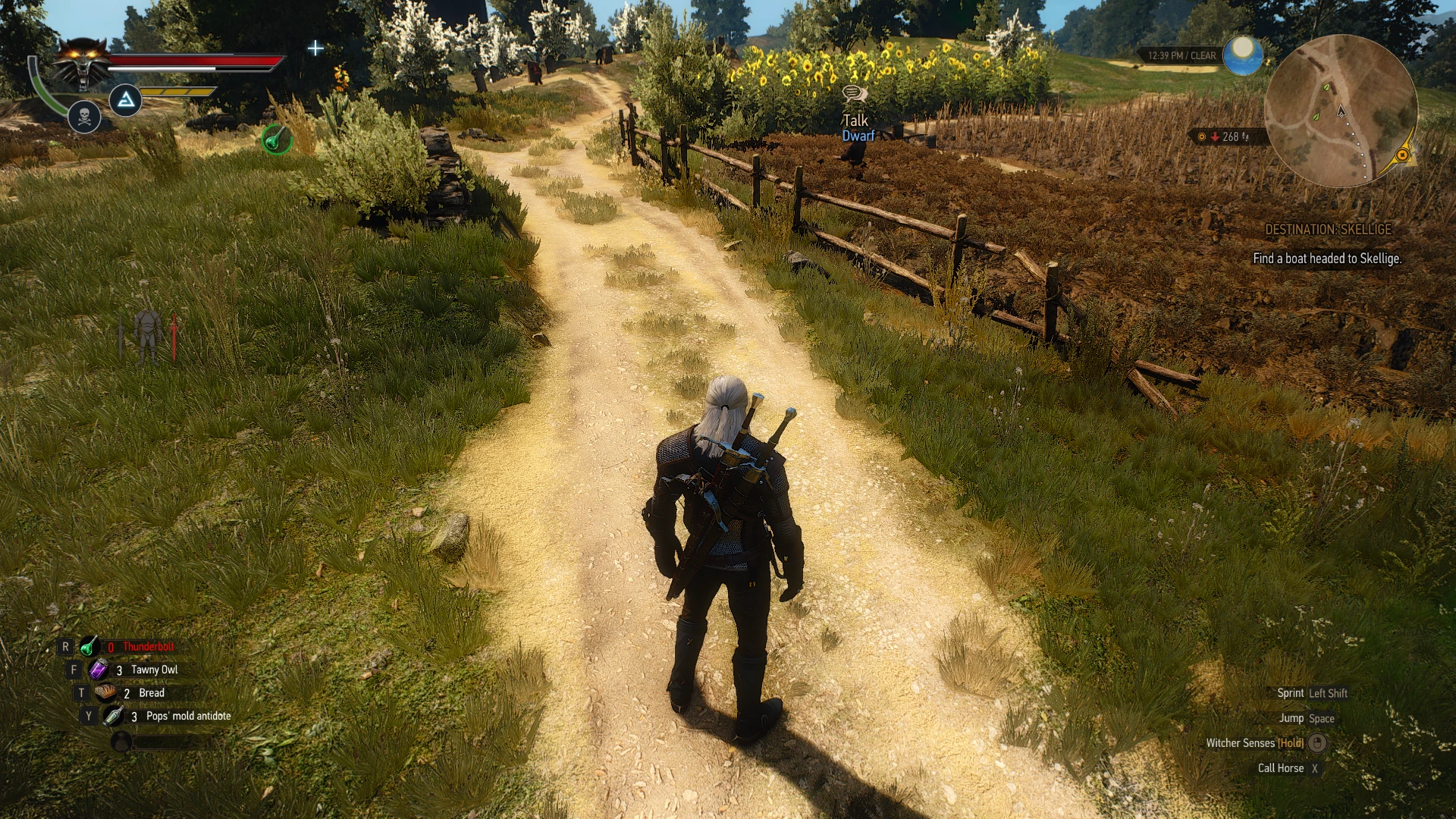 The witcher 3 community patch фото 46