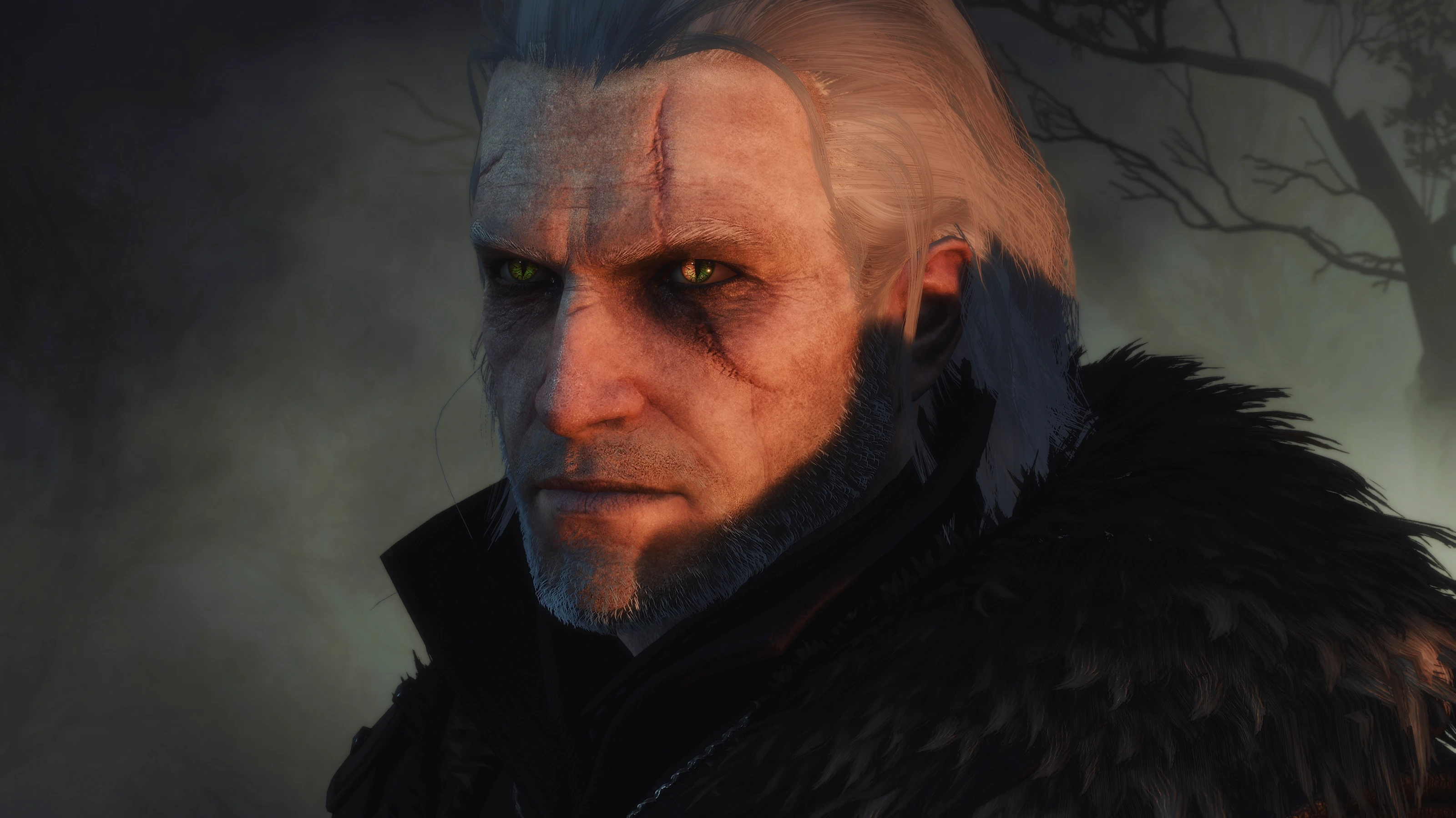 The witcher 3 geralt face фото 62
