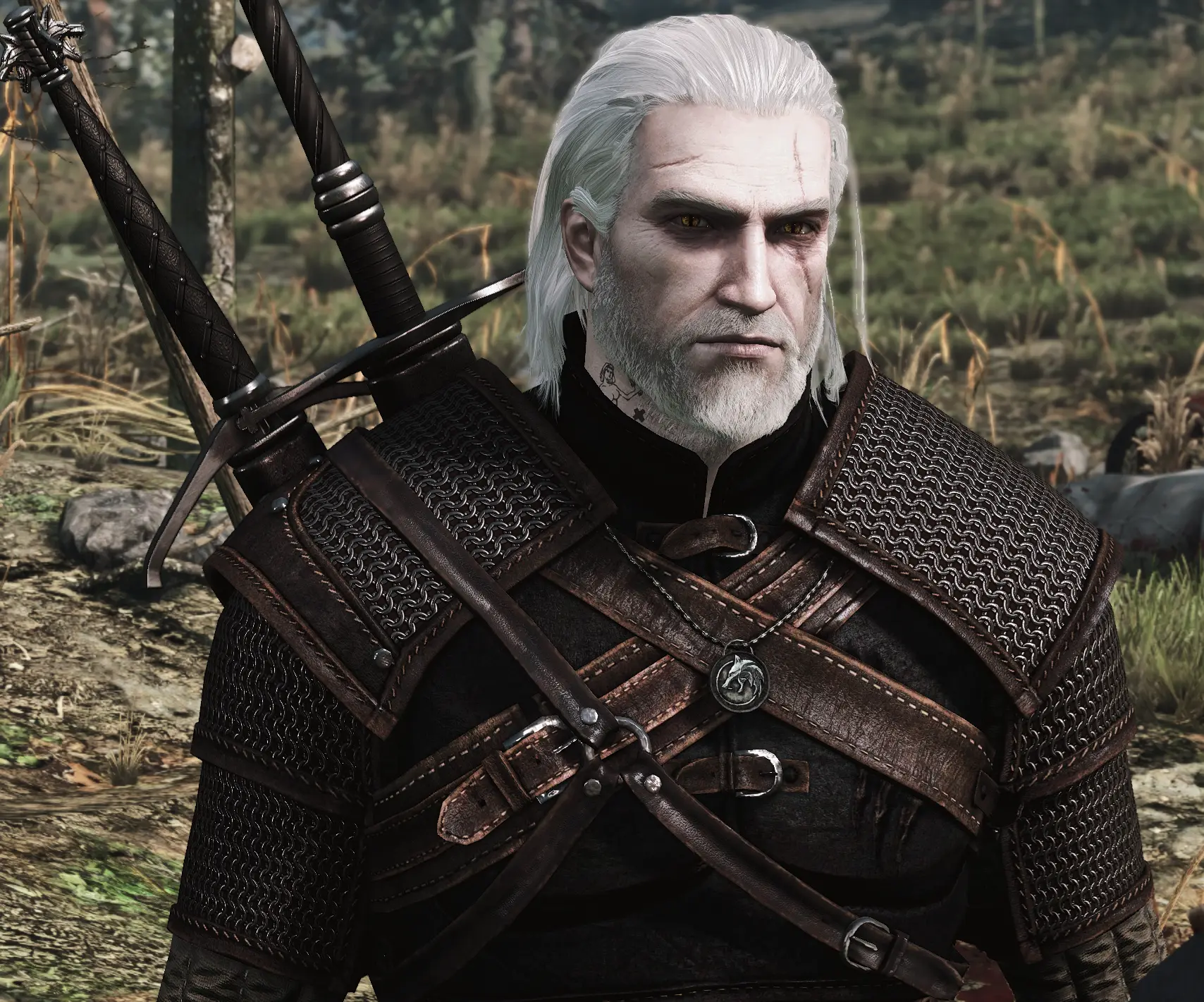 Geralt Face Retexture (Face from The Witcher 3) at The Witcher