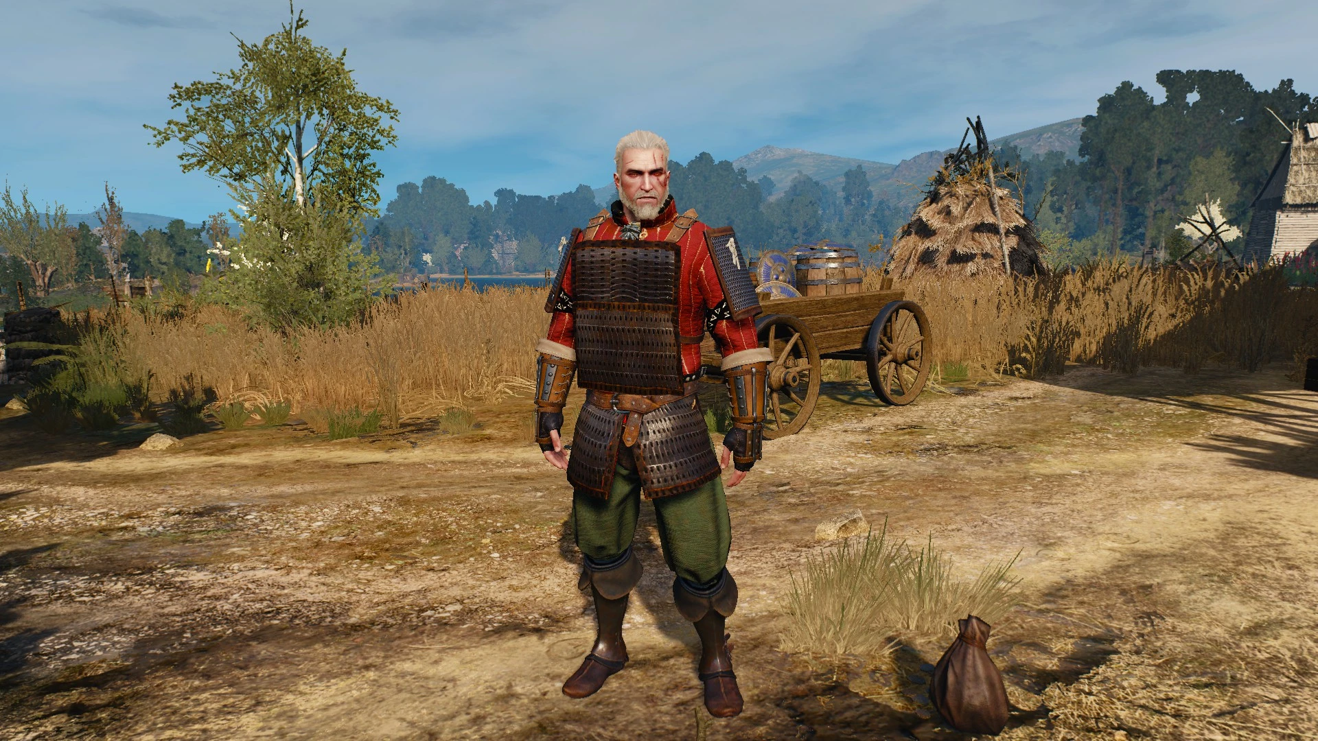 The witcher 3 all witcher armor фото 115