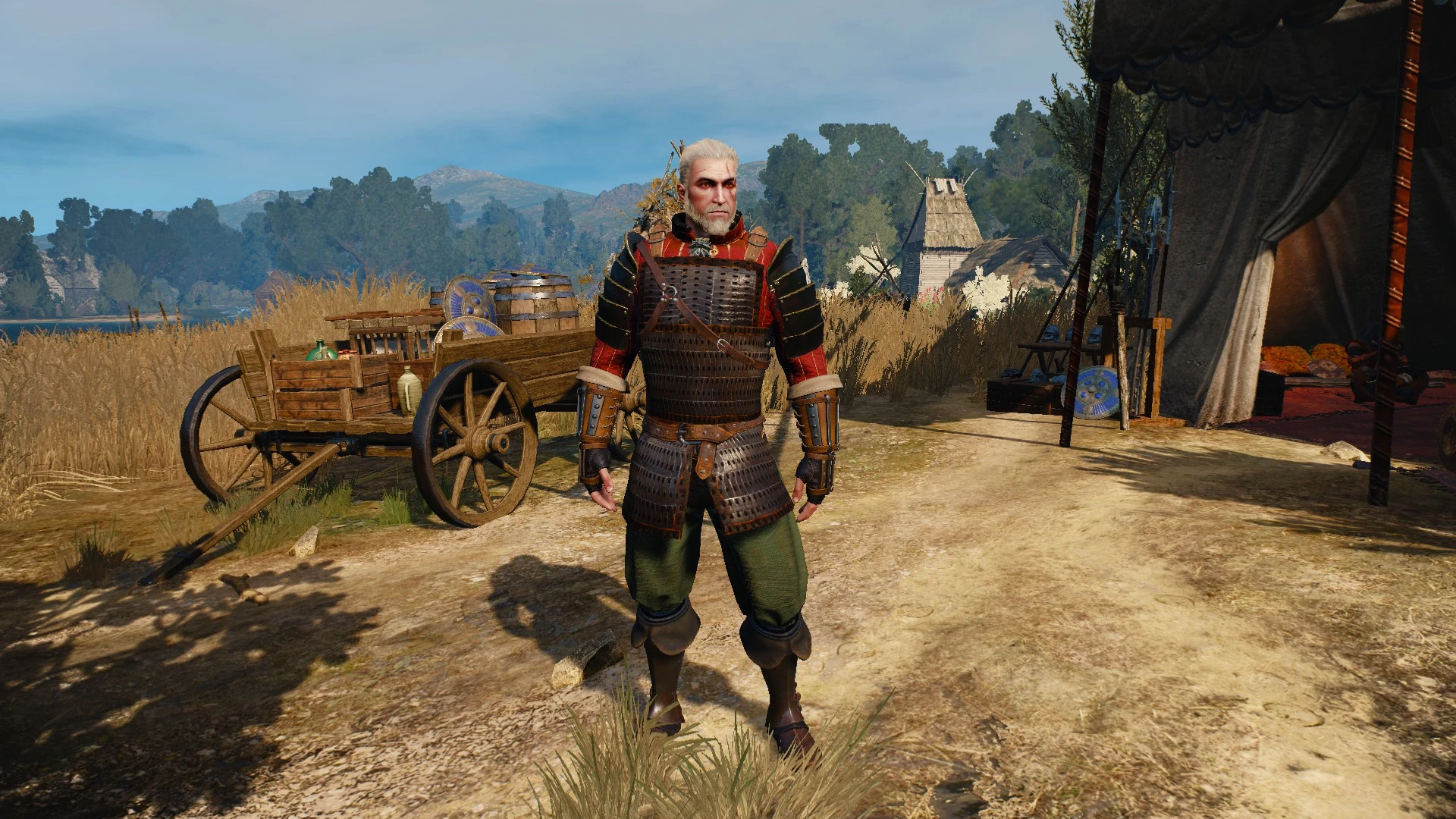 The witcher 3 cat gear фото 103