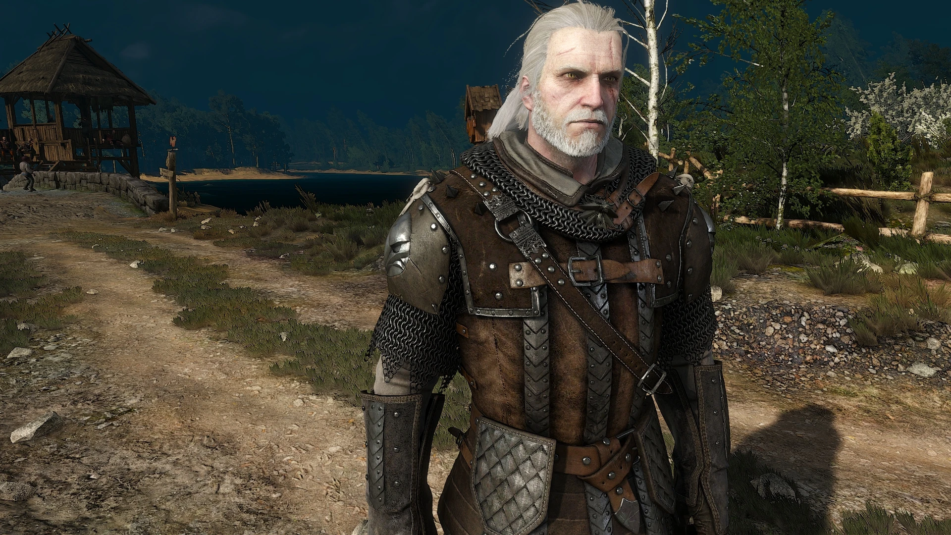 The witcher 3 griffin school hunt фото 88