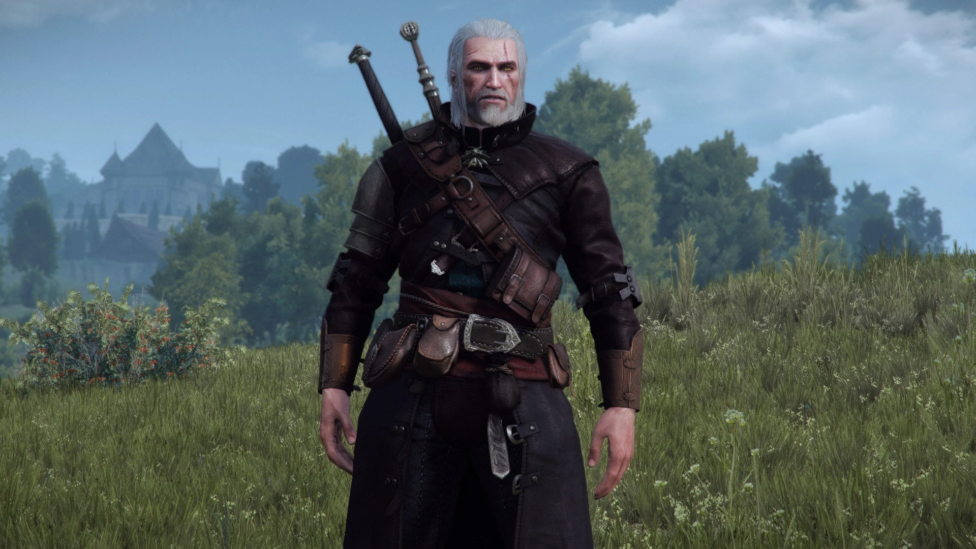Skyrim the witcher 3 armors фото 110