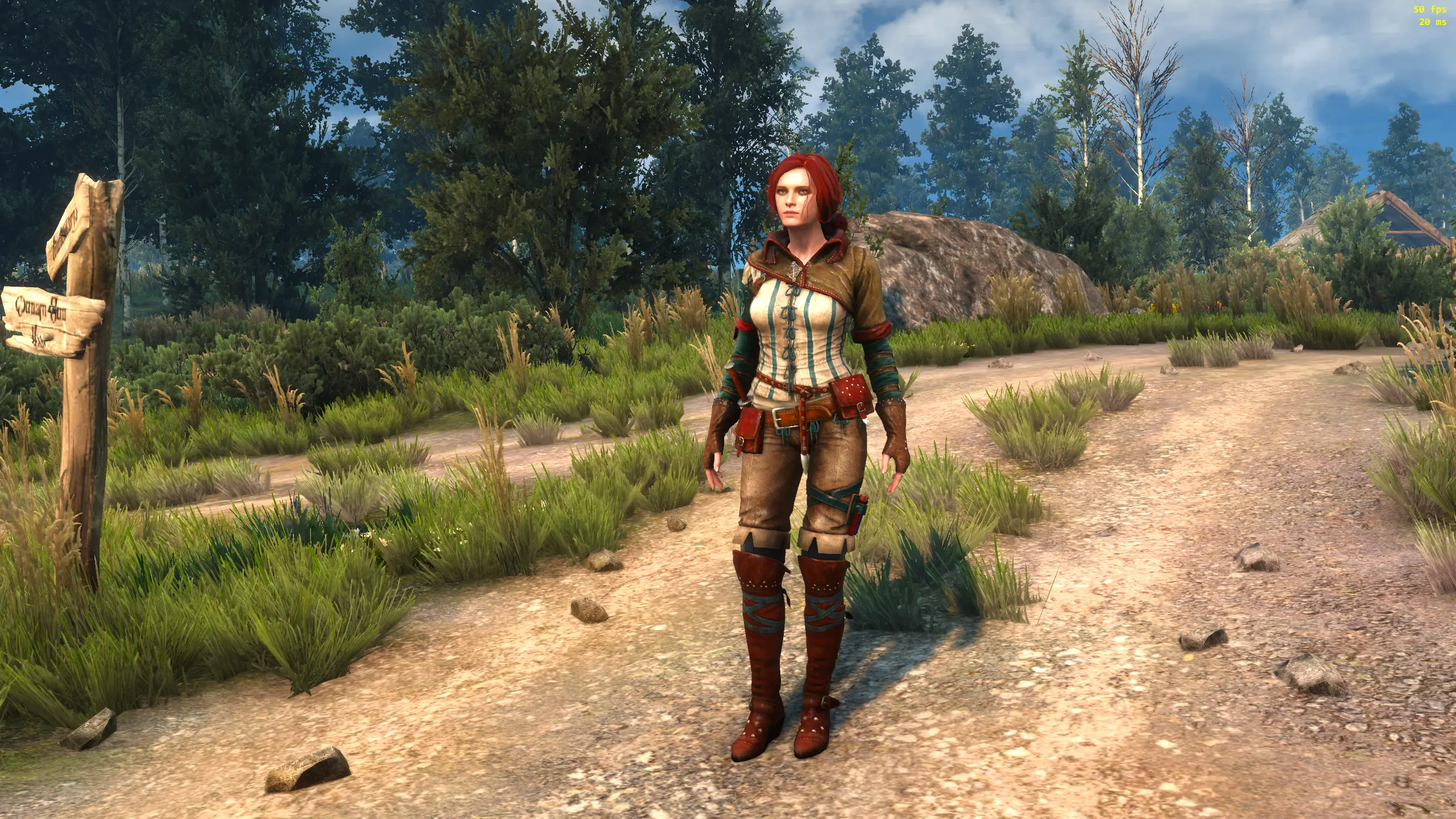 The witcher 3 nexus mods and community фото 101