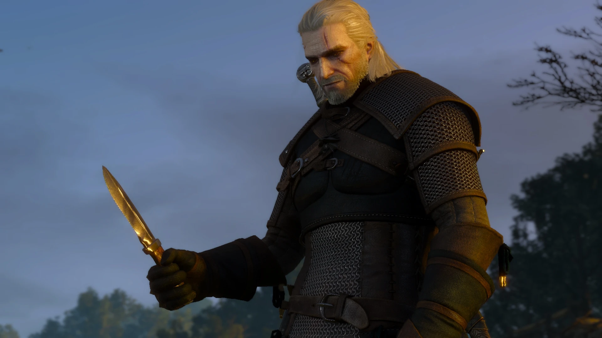 Main quest the witcher 3 фото 70