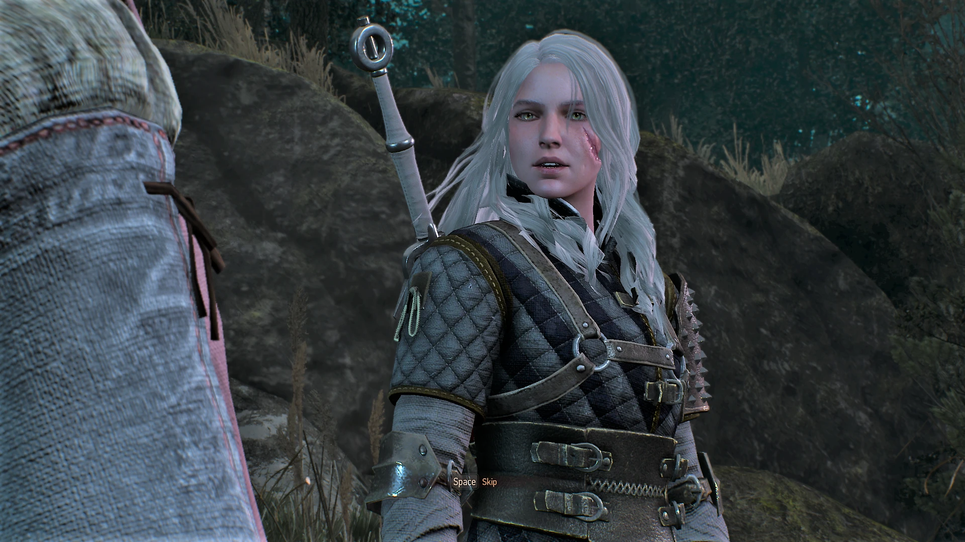 The witcher 3 alternative look for ciri фото 17