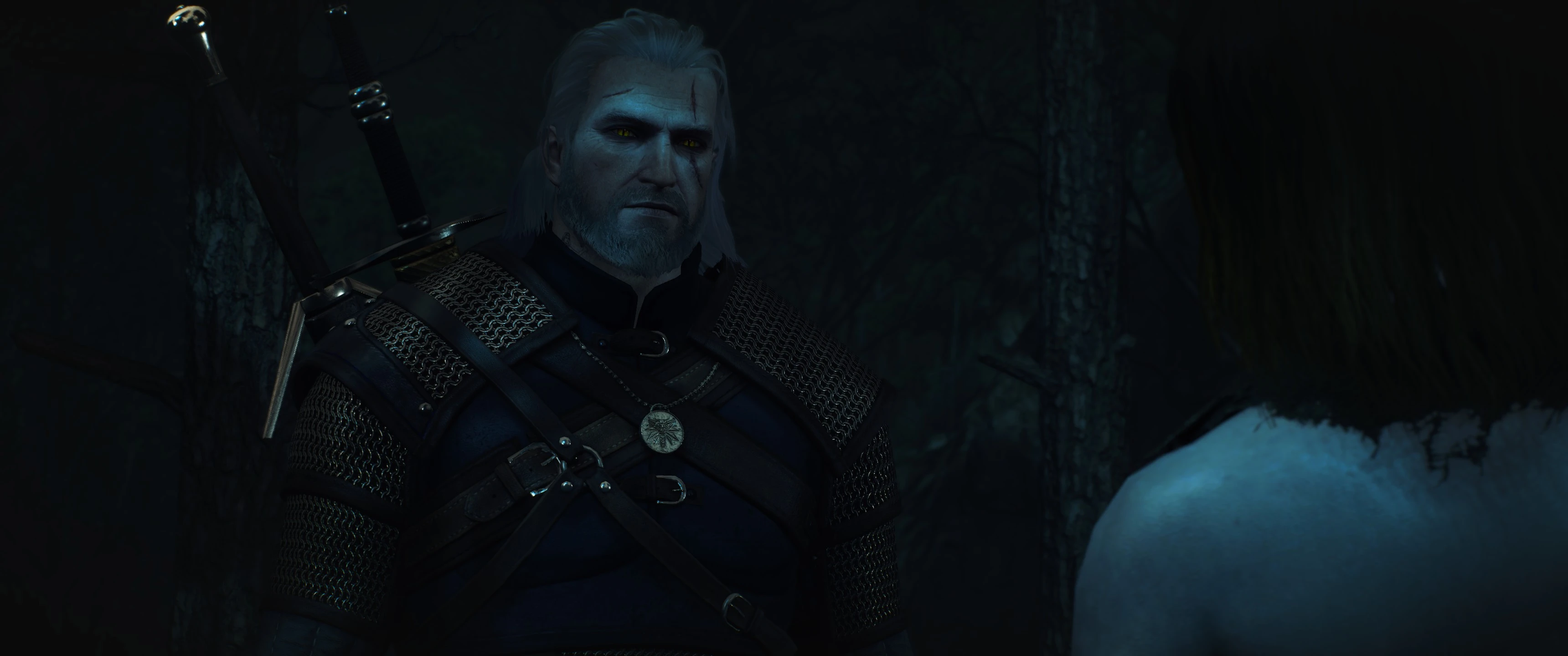 witcher the enhanced edition mods