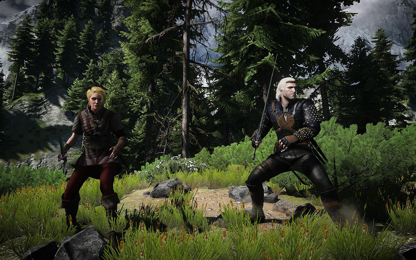 Alternate appearances witcher 3