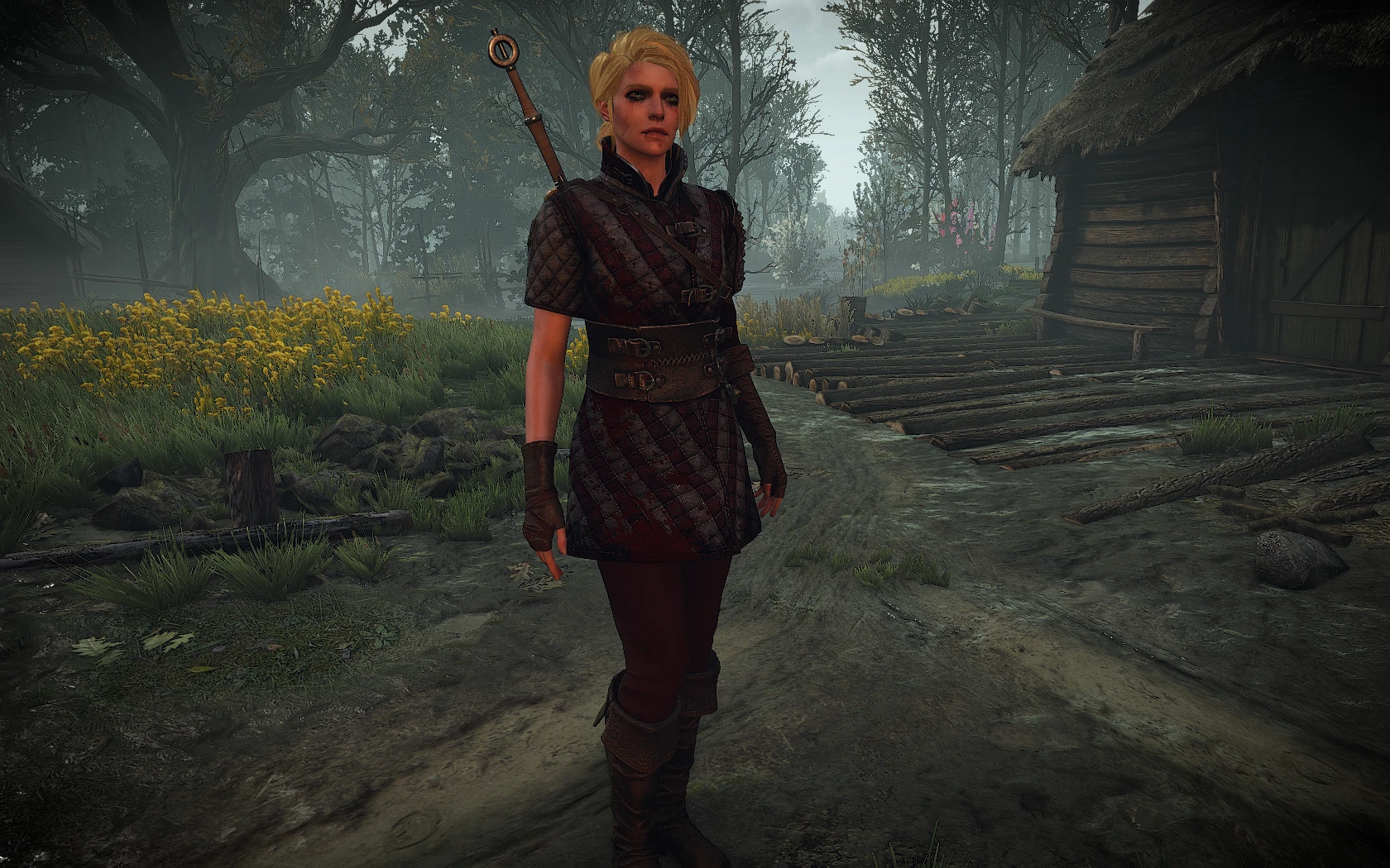 The witcher 3 alternative look for ciri фото 94