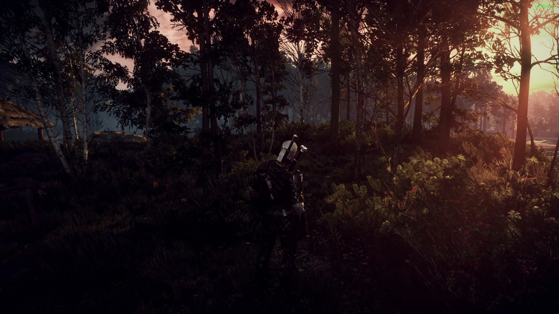 The witcher 3 killing monsters фото 80