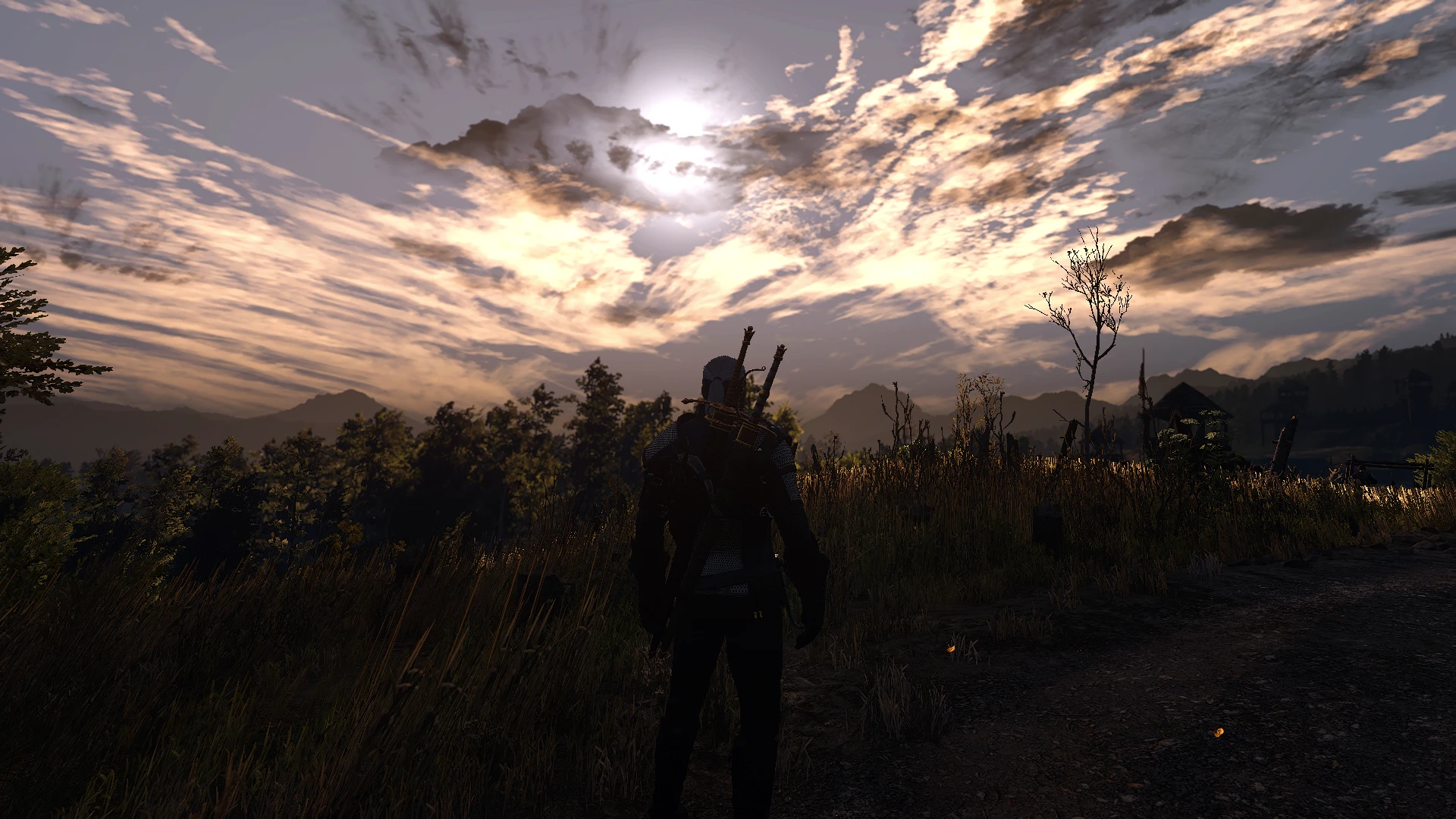 моды на the witcher 3 eyes фото 80