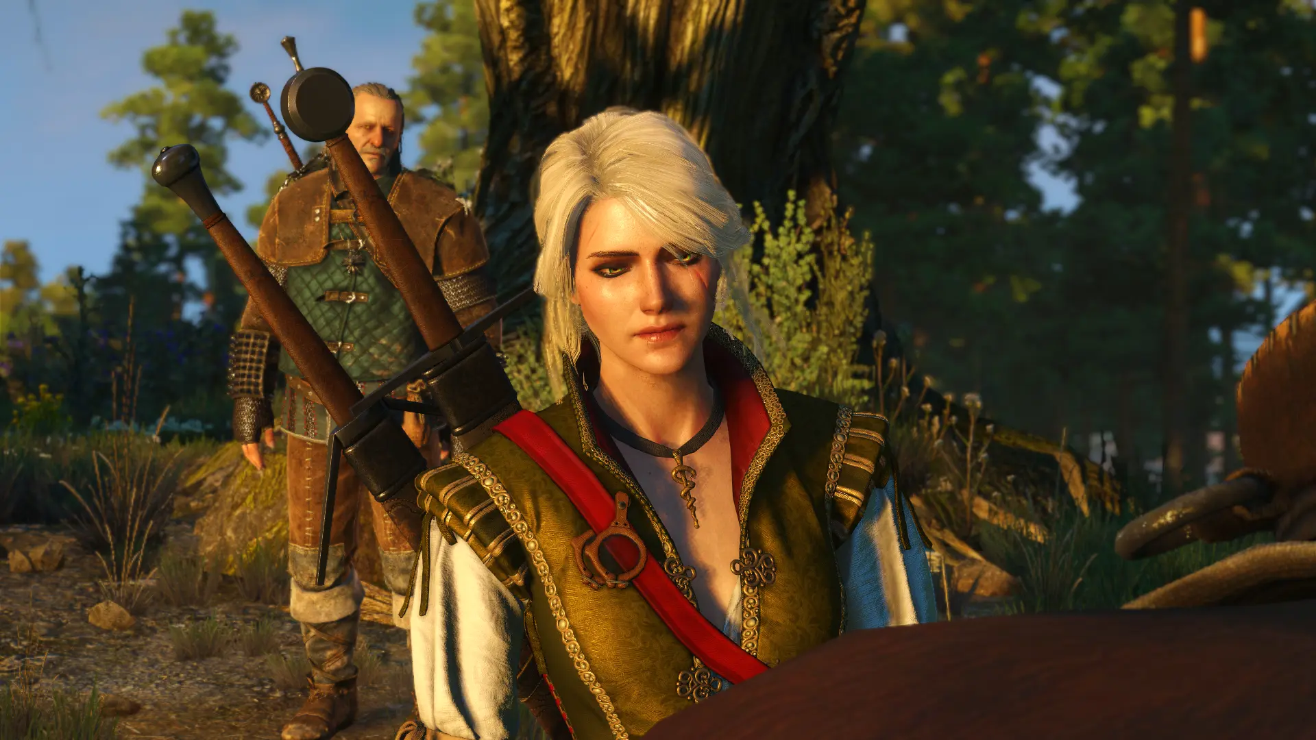 The witcher 3 geralt doppler фото 2