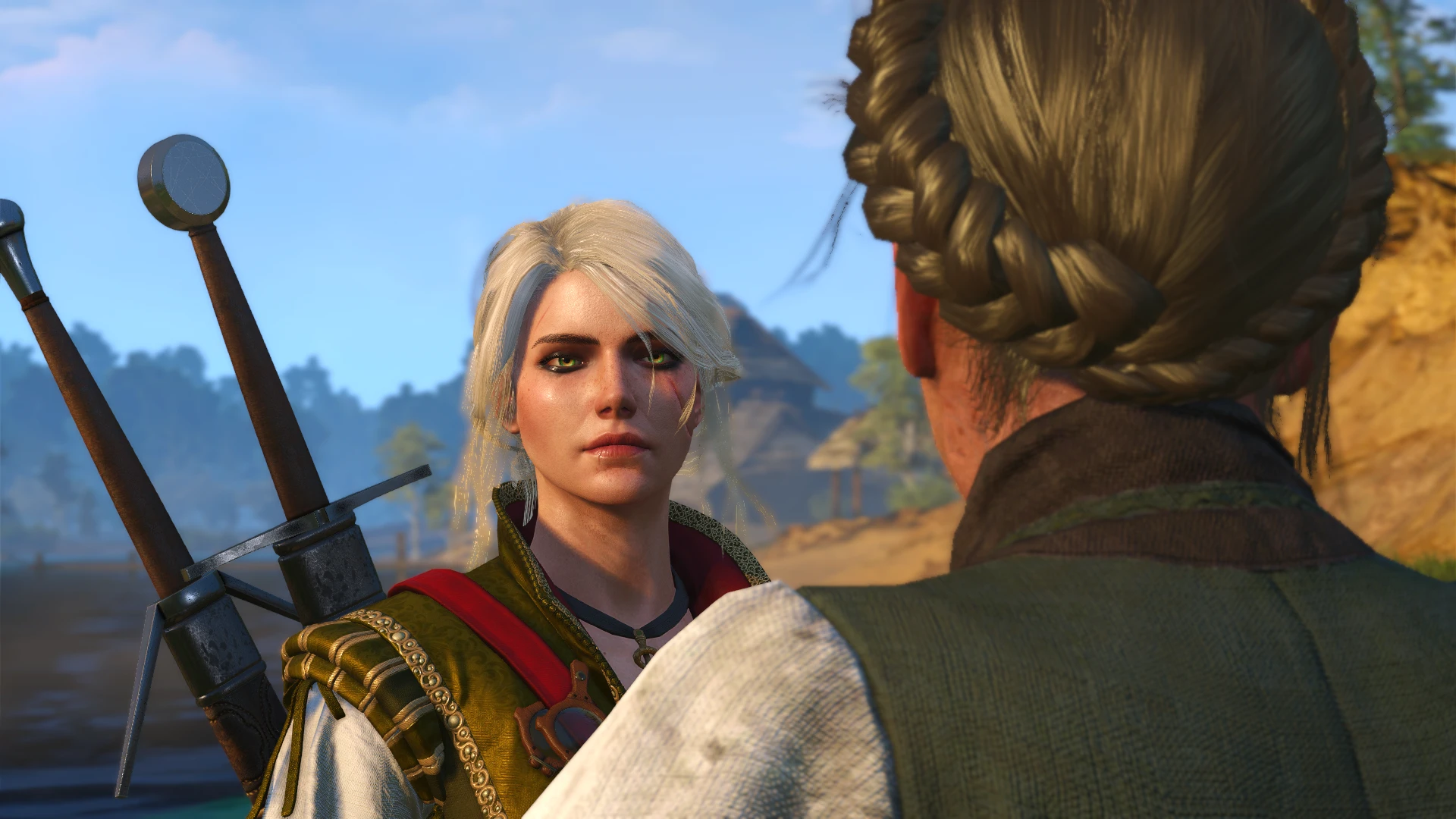 The witcher 3 with geralt doppler фото 6