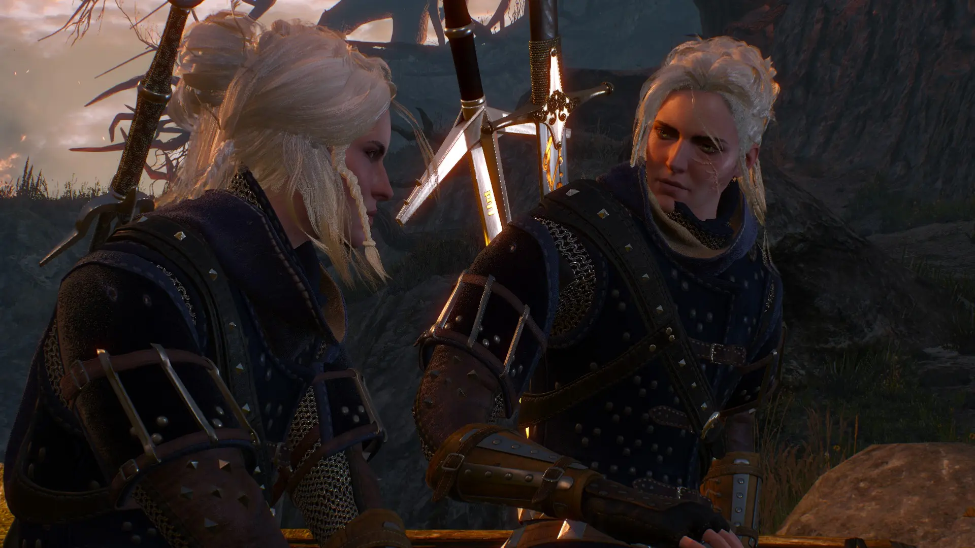 Geralt Doppler Reborn at The Witcher 3 Nexus - Mods and community