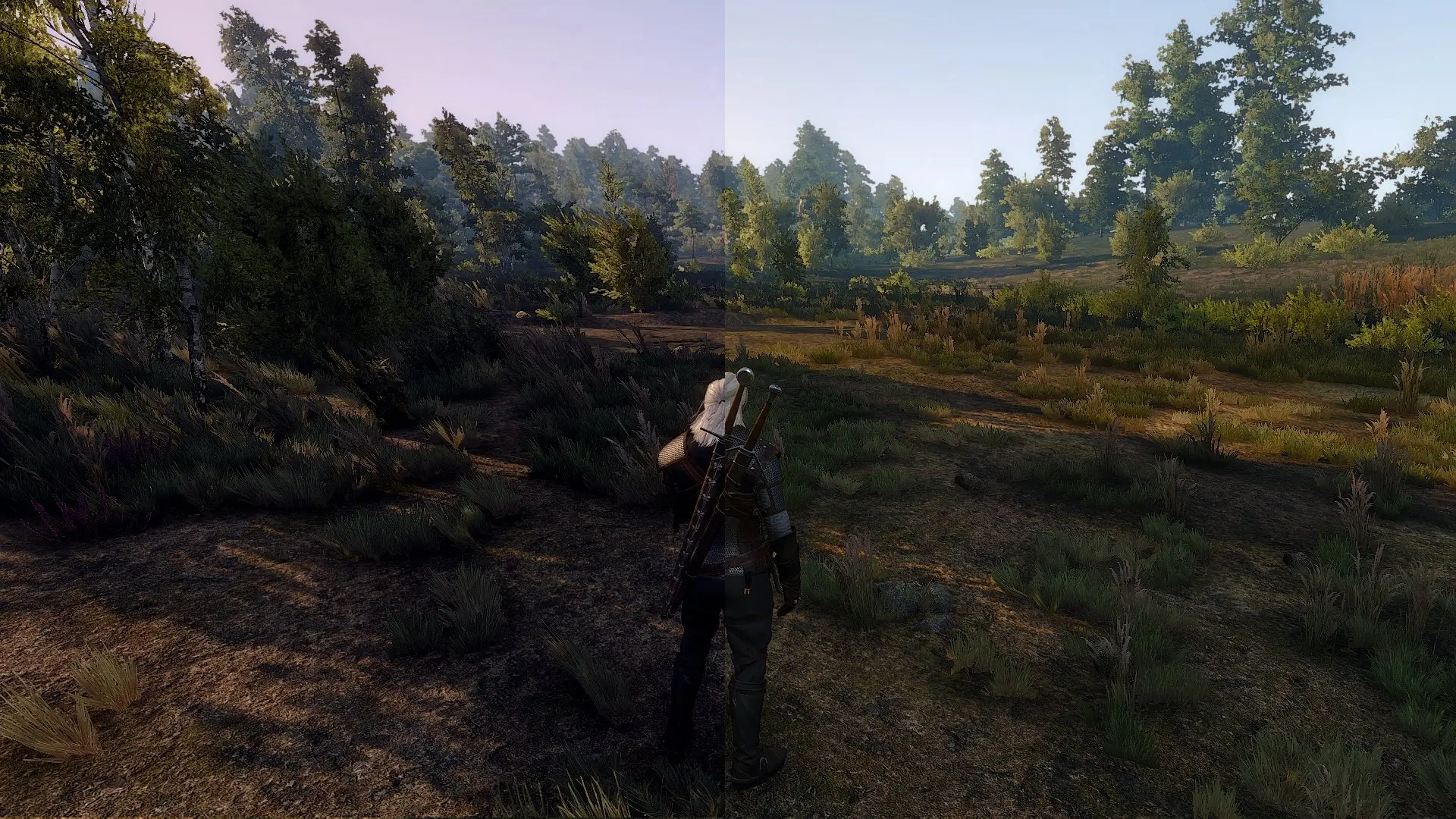 Survival after мод. Ведьмак 3 Split Screen. Tonemap in game. Tonemap in game Comparsion.