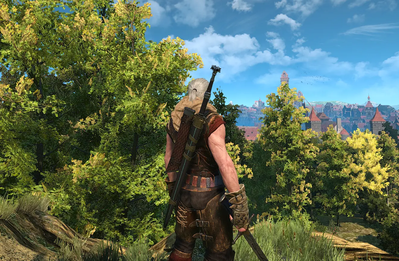 The witcher 3 armor dlc фото 83