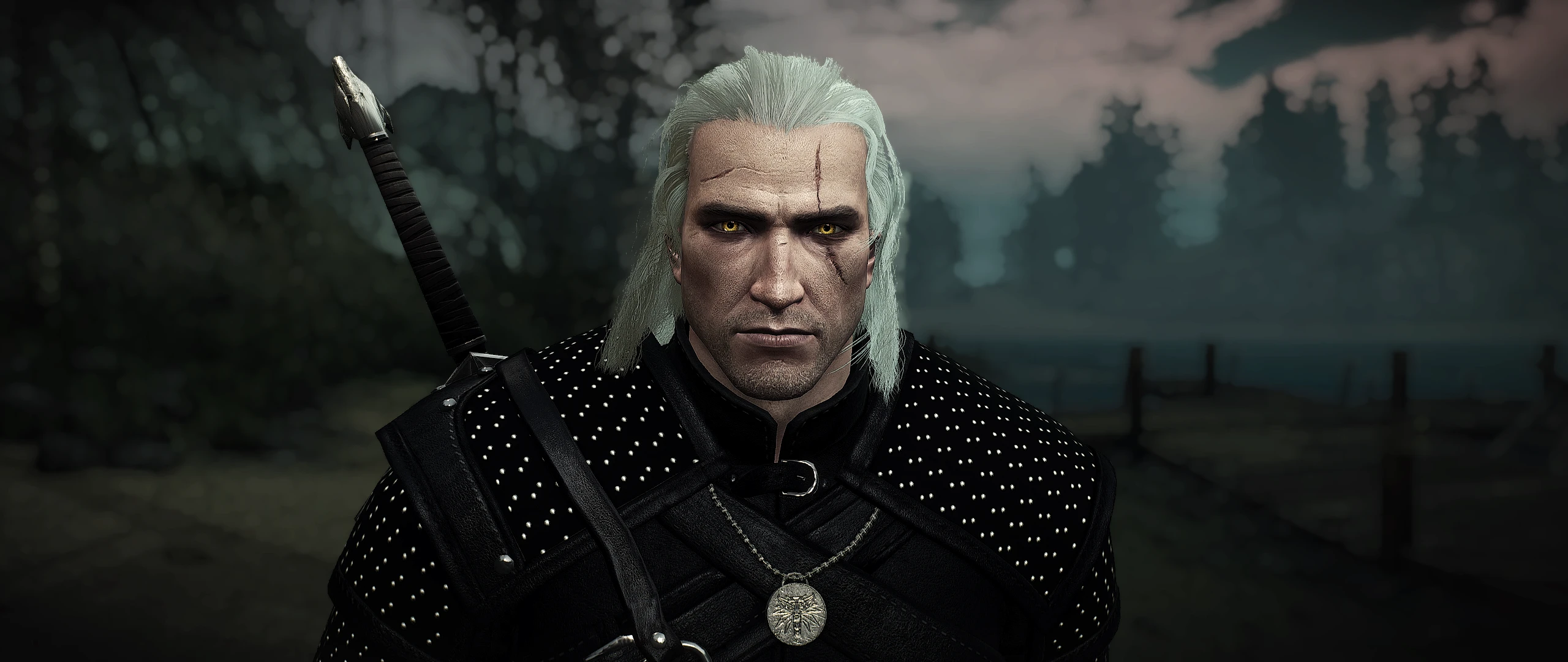 The witcher 3 медальон моды фото 67