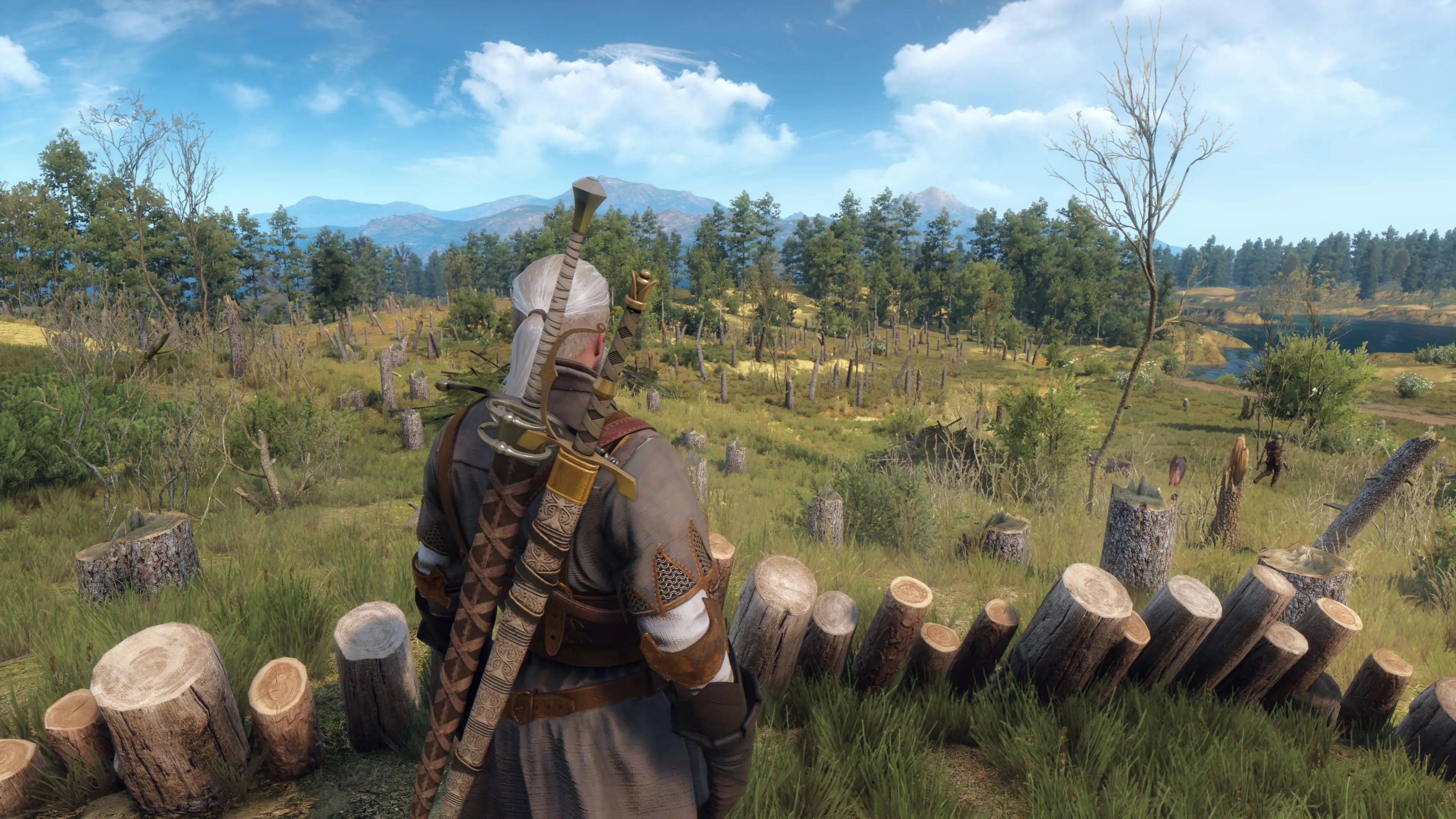 Free camera mod the witcher 3 фото 86